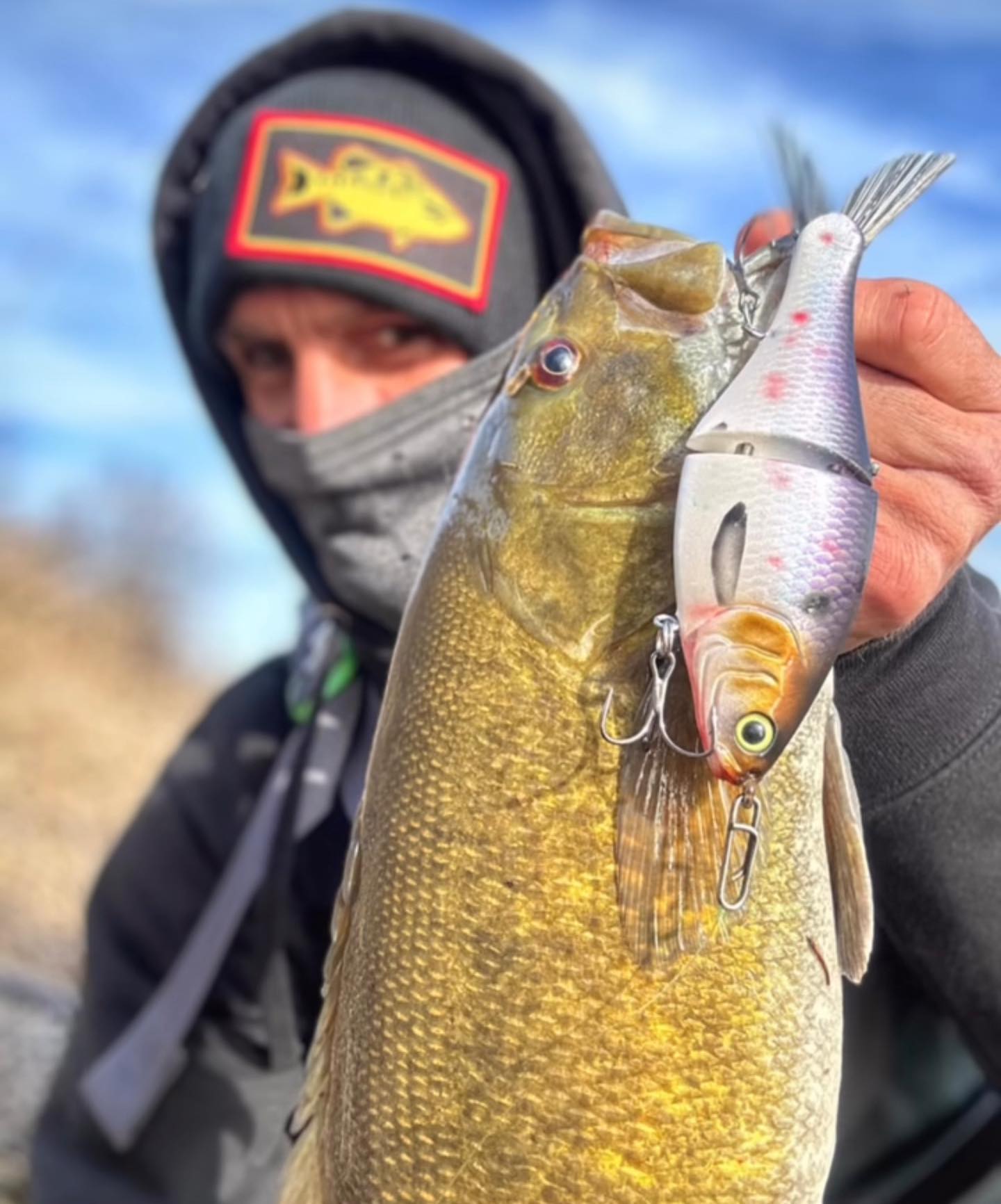 Fish Everything