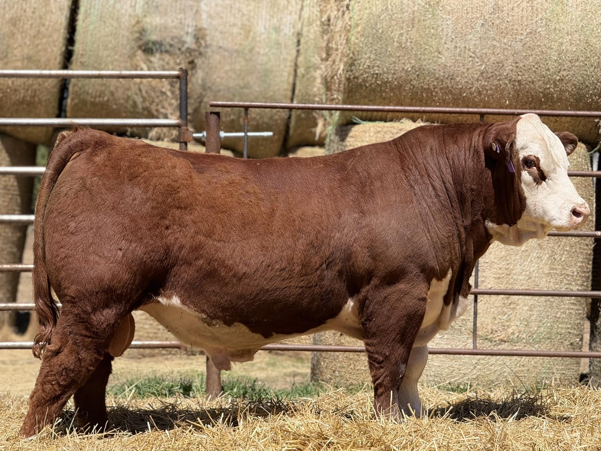 McLennan Ranch