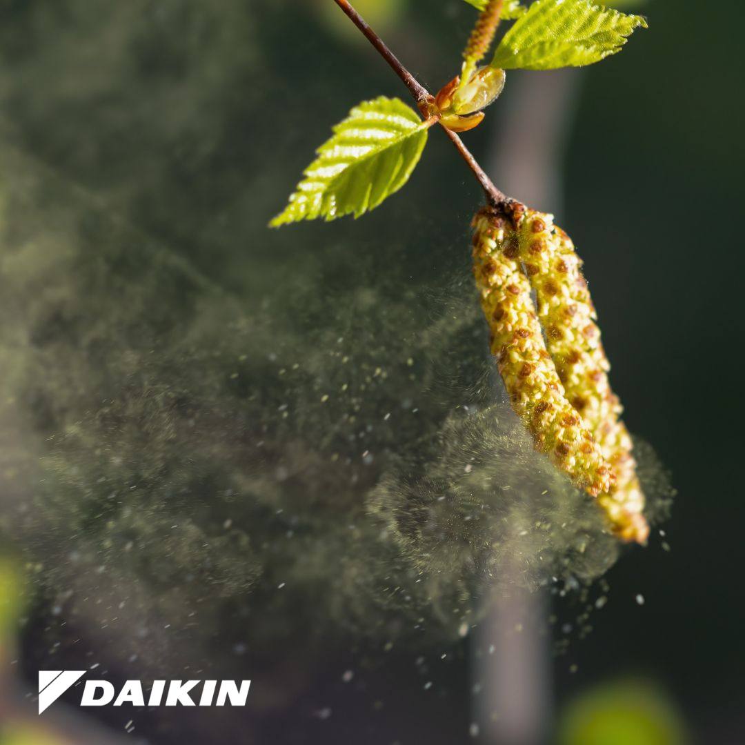 Jakobsen - 🤧 Klar for pollensesongen? Vi kan hjelpe! 🌿 Daikin ...