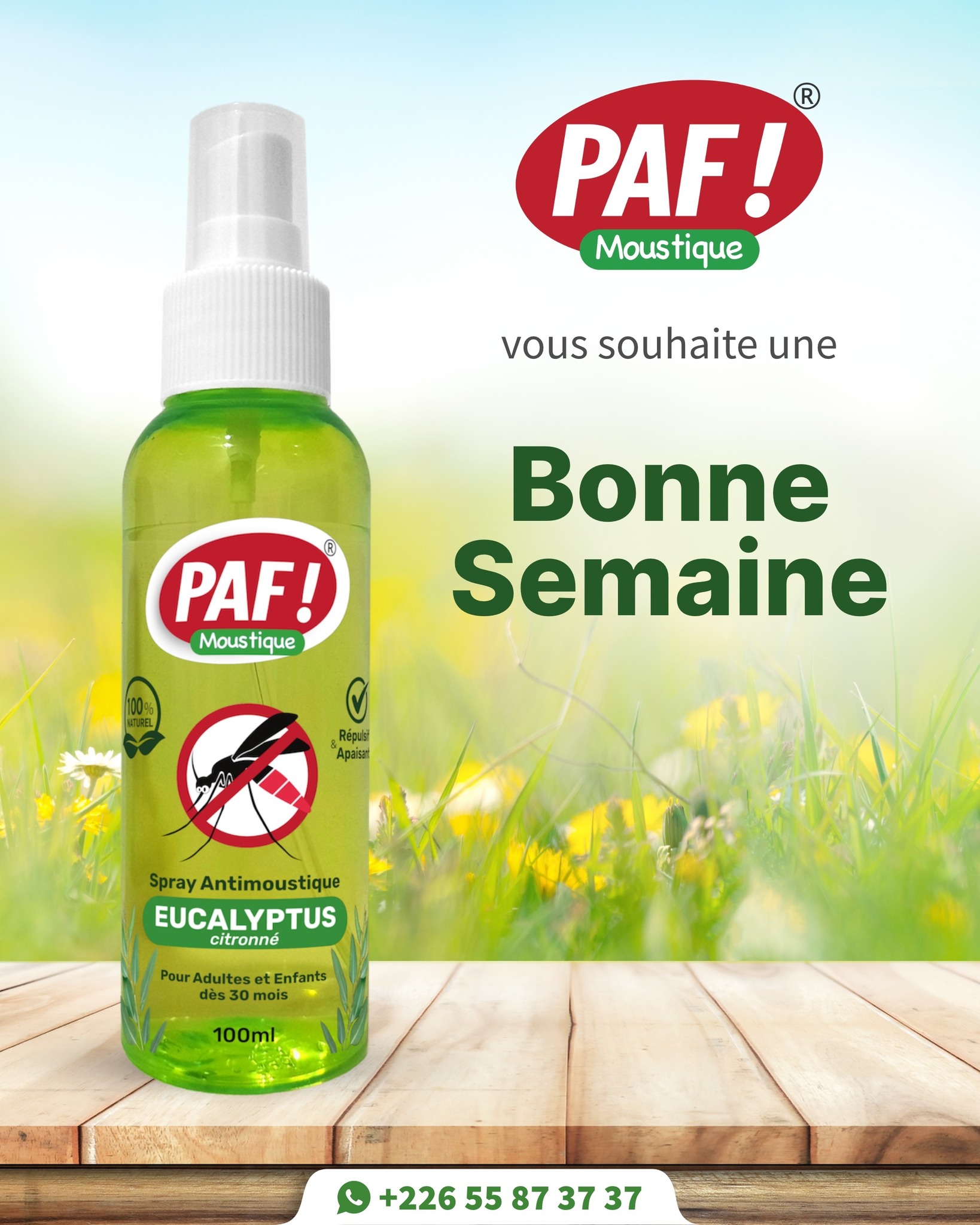 PAF Moustique | Ouagadougou