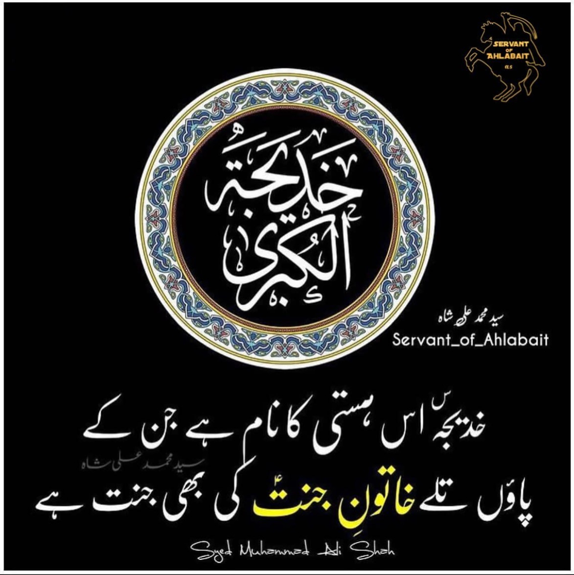 Servant_of_ahlabait - بی بی زینبؐ 🙏💫 #arbaeen #اربعین #arbaeenwalk - # ...