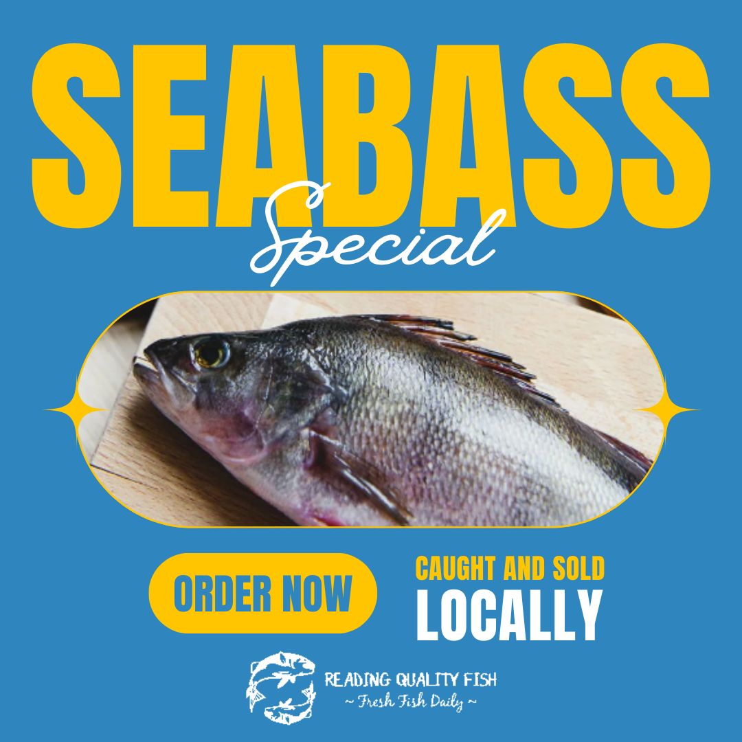 Reading Quality Fish | Reading