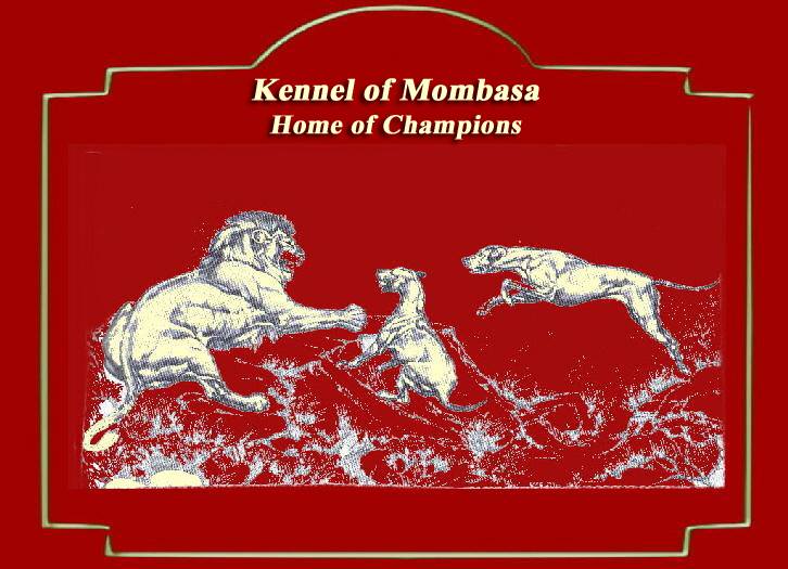 Rhodesian Ridgeback Kennel of Mombasa - Kwelanga