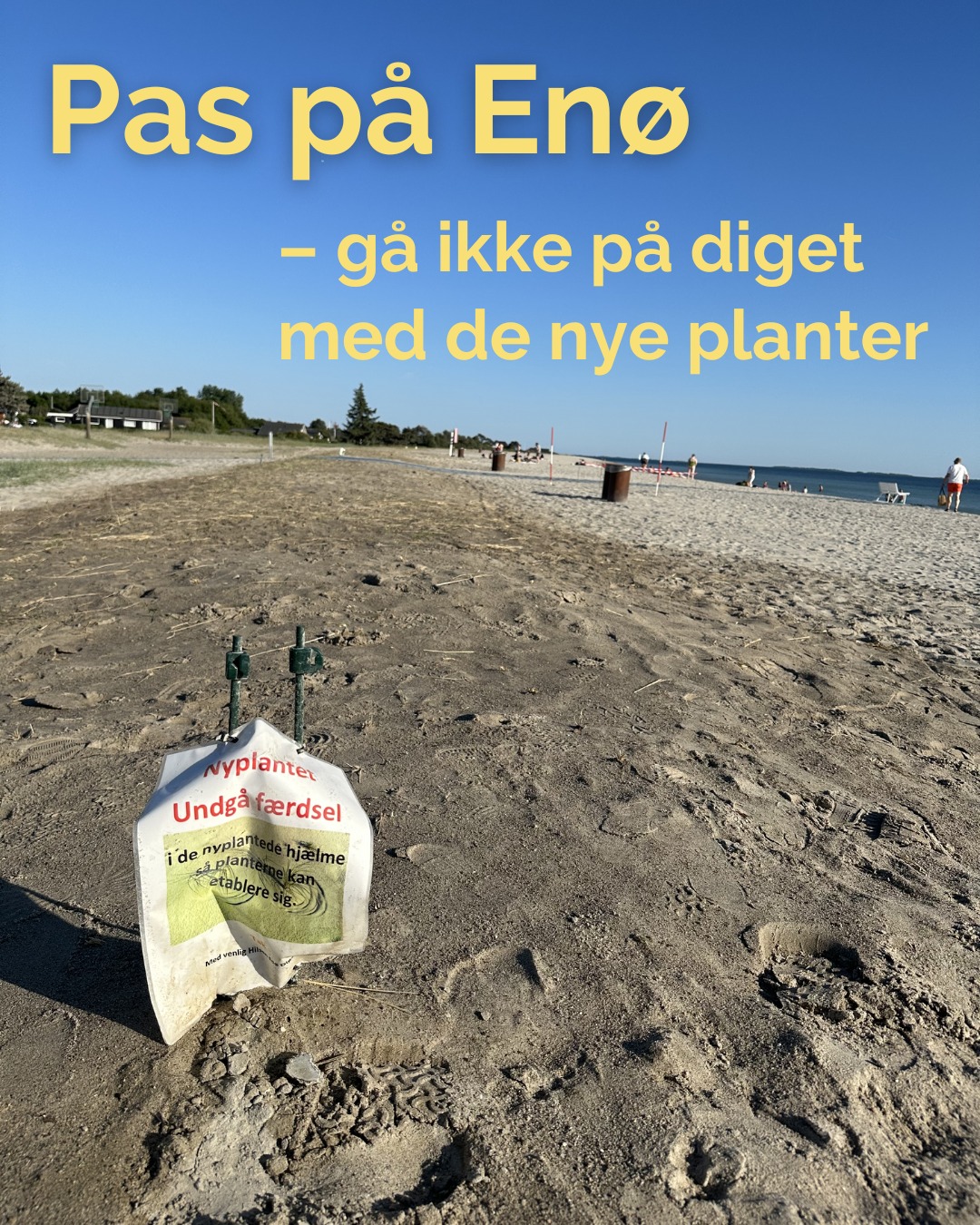 Næstved Kommune - GÅ-GUIDE TIL STRANDEN 😜 Det er ikke lige...