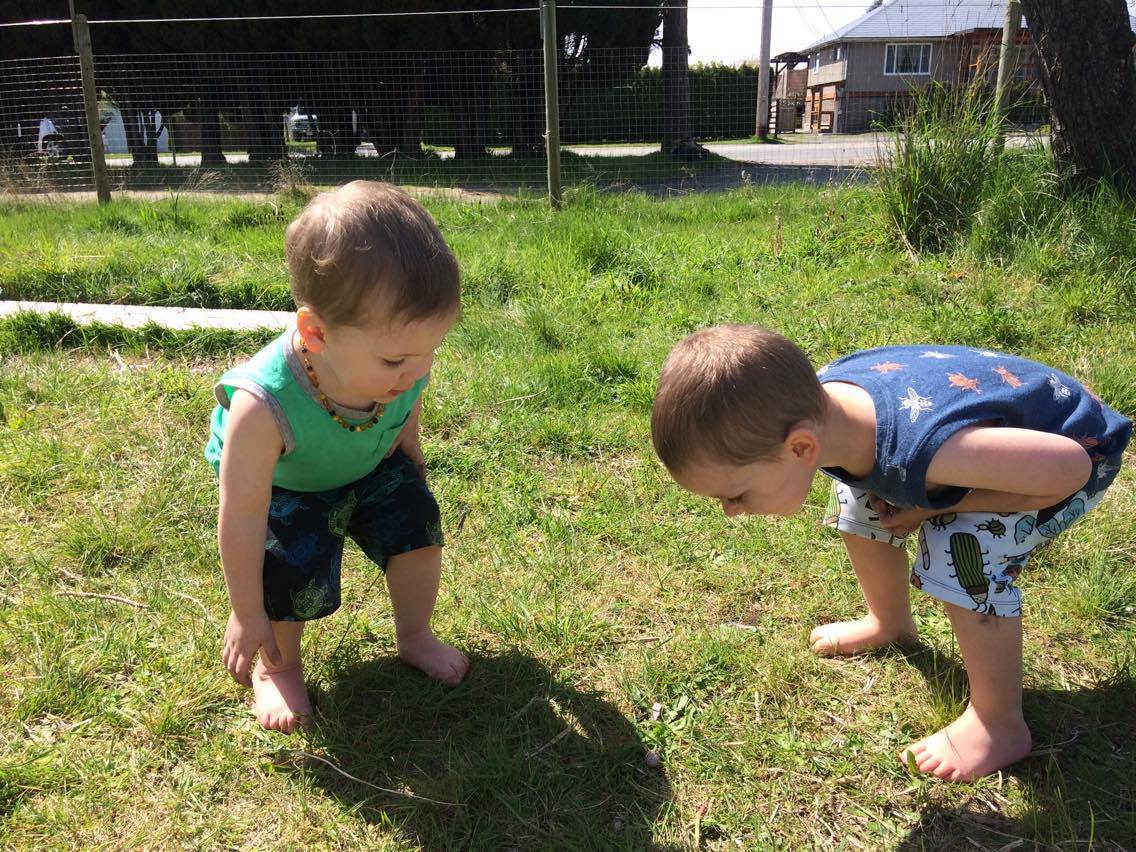 Pazooka | Powell River BC