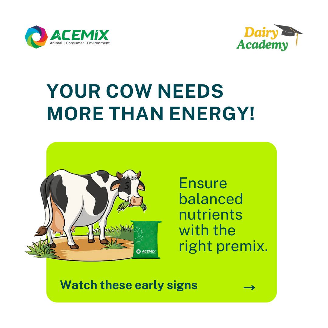 Acemix - Is Your Cow Showing These Signs? Don’t ignore the... | Facebook