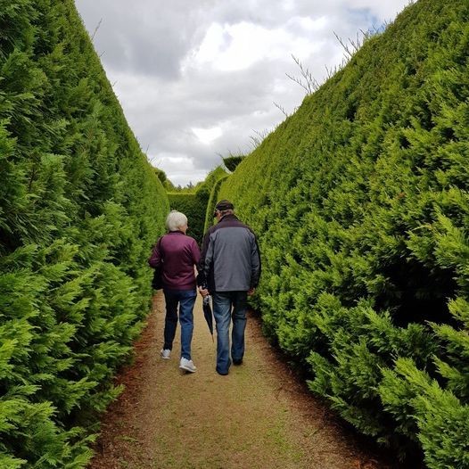 Seniorocity - As the name suggests, the main attraction at A maze'n ...