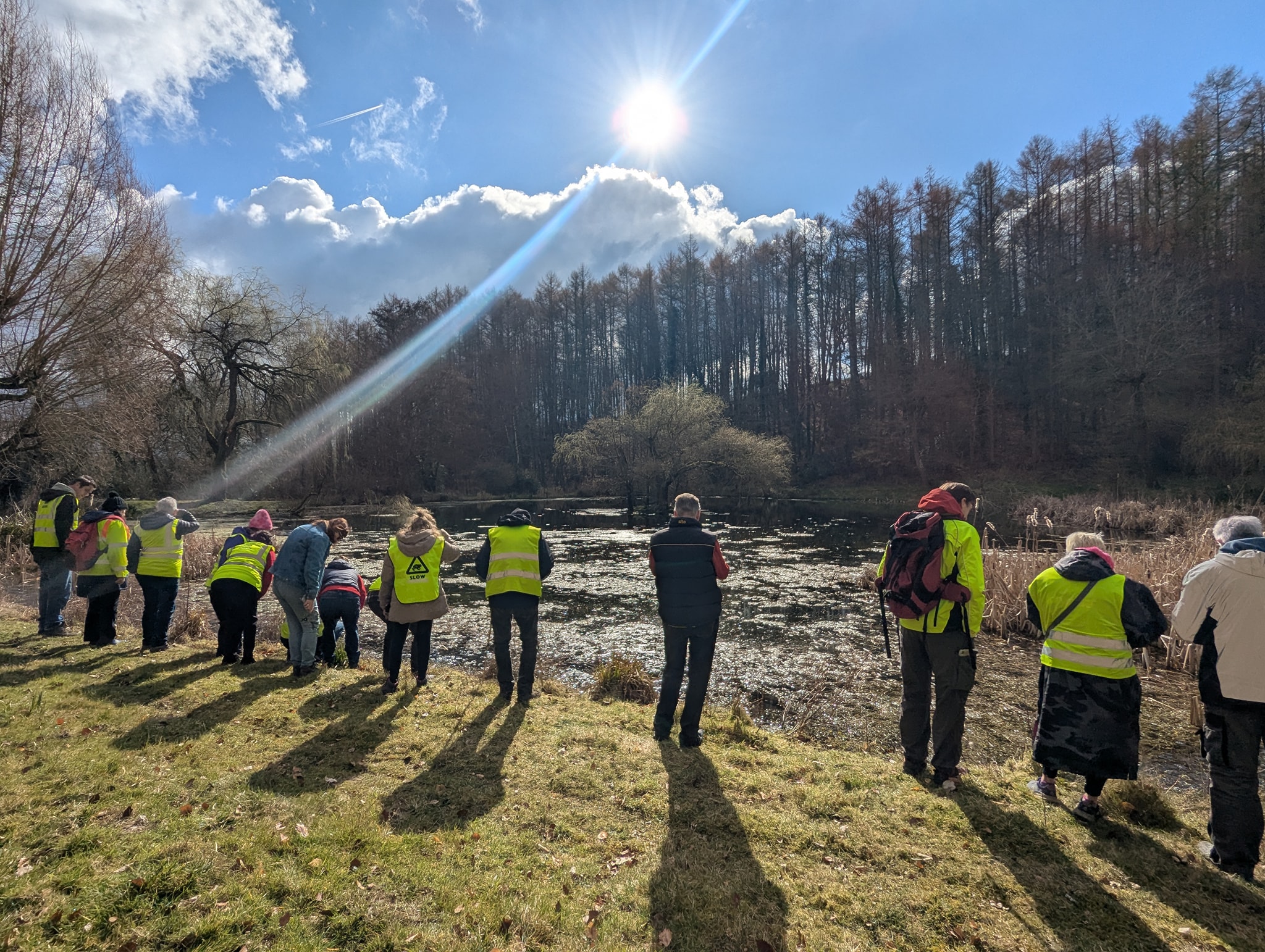 Toad Rescue - Charlcombe, Bath