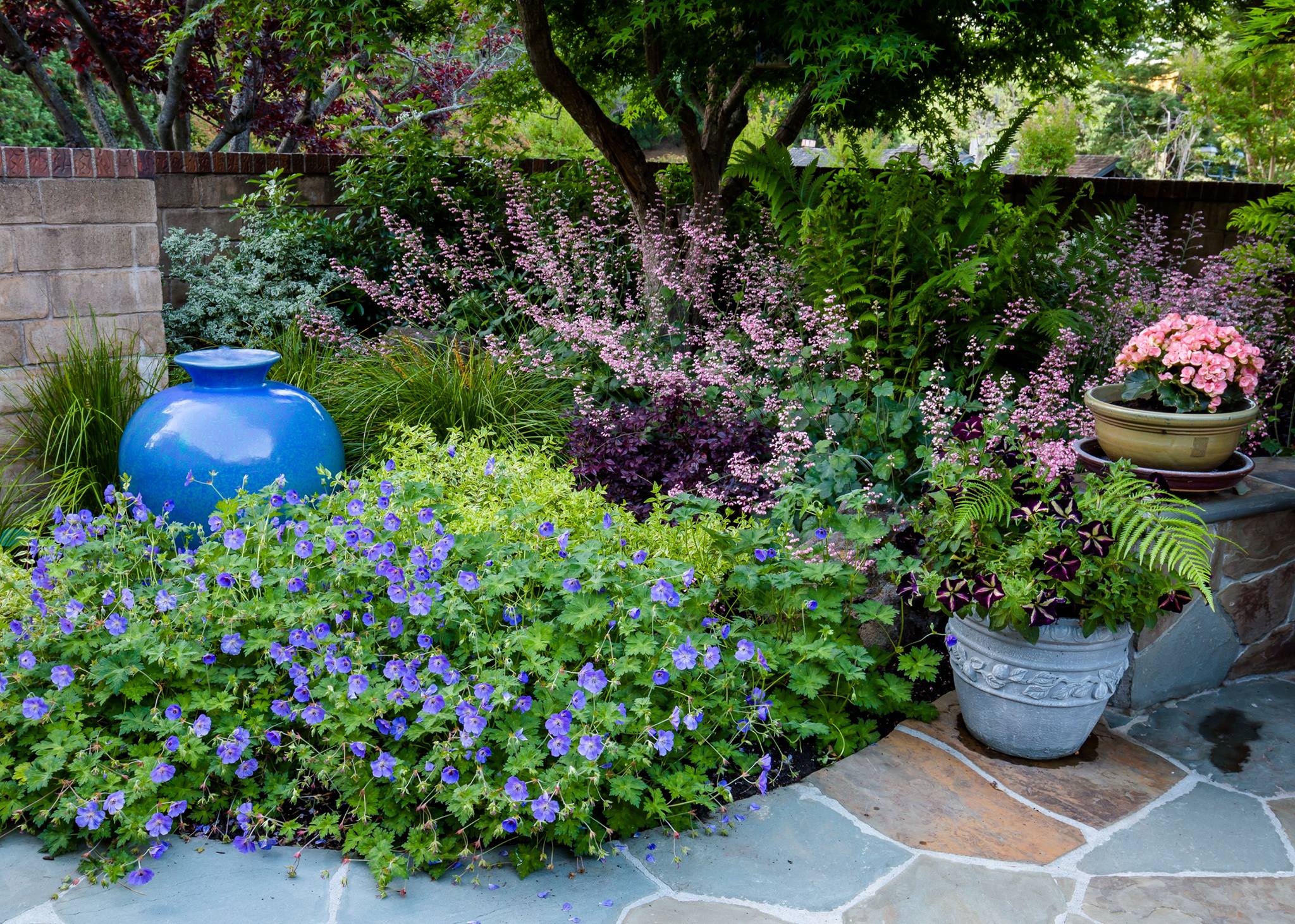Garden Nest Residential Landscape Design | Orinda CA