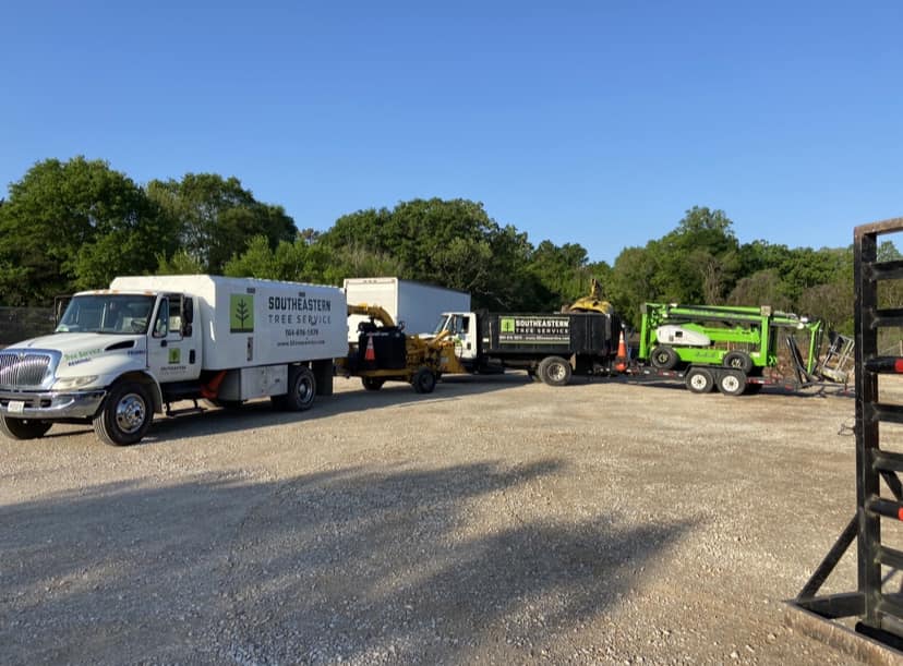 Southeastern Tree Service | Greenville SC