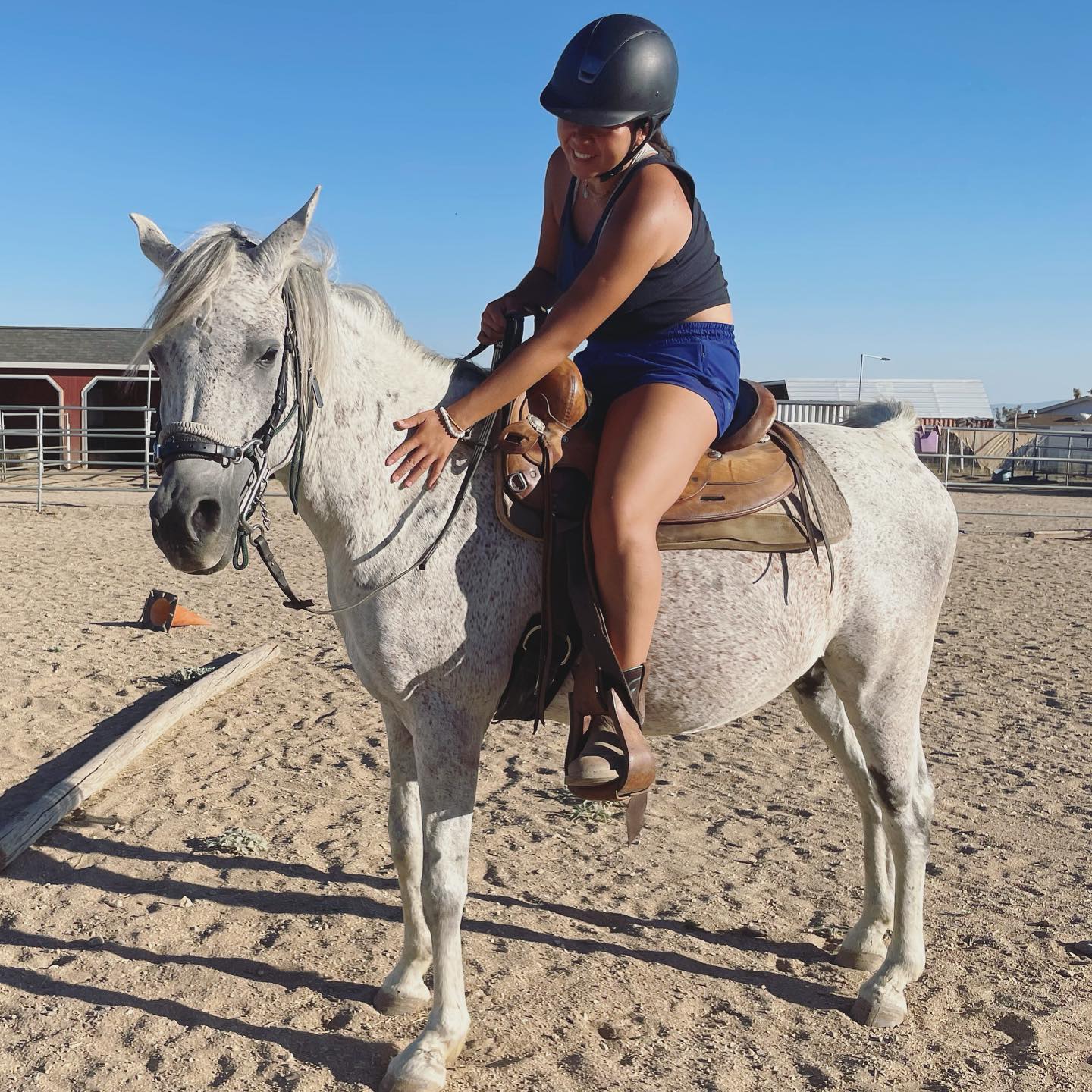 Gigolo in English tack for the first time