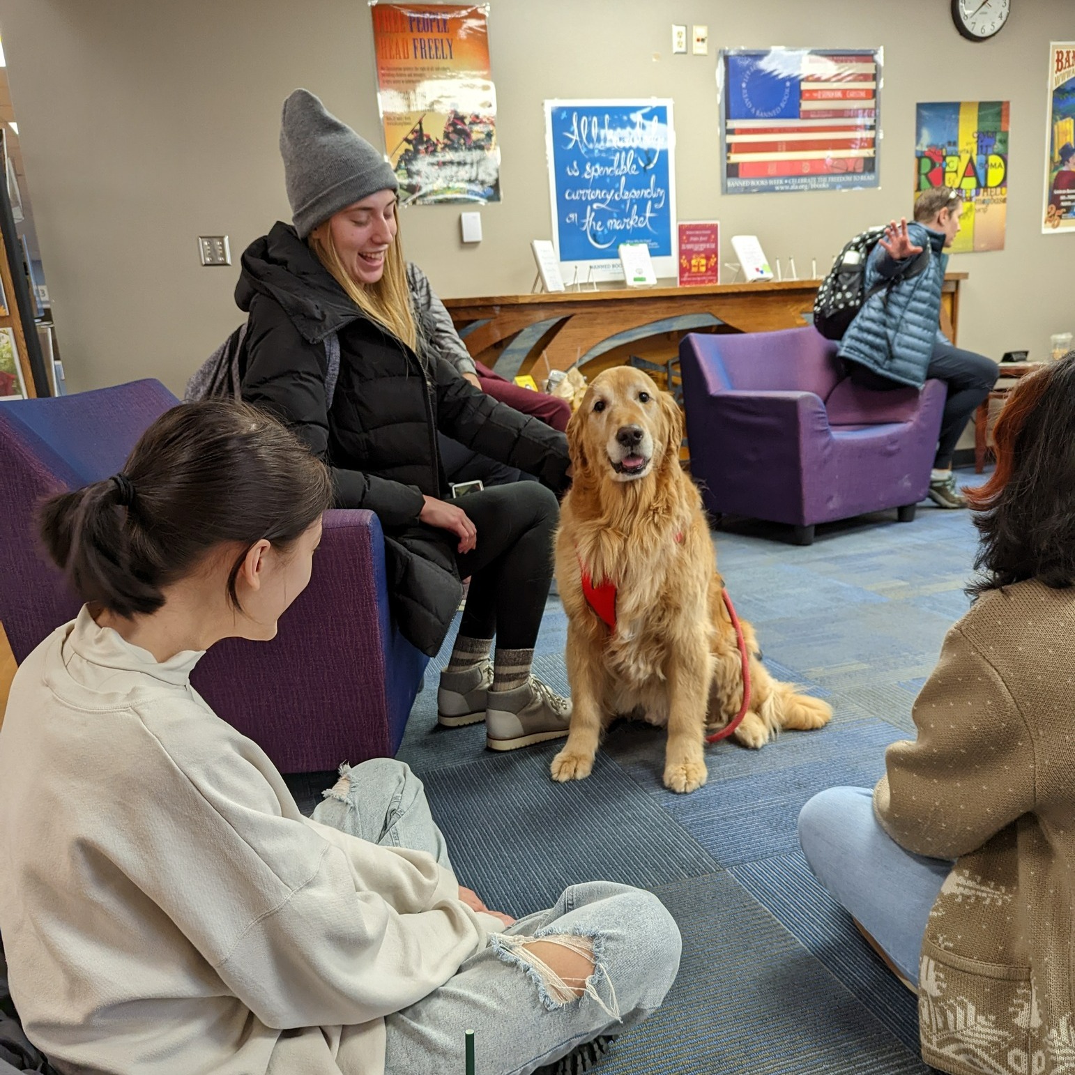 🐾 Thank you to McIntyre Library Therapy... - McIntyre Library