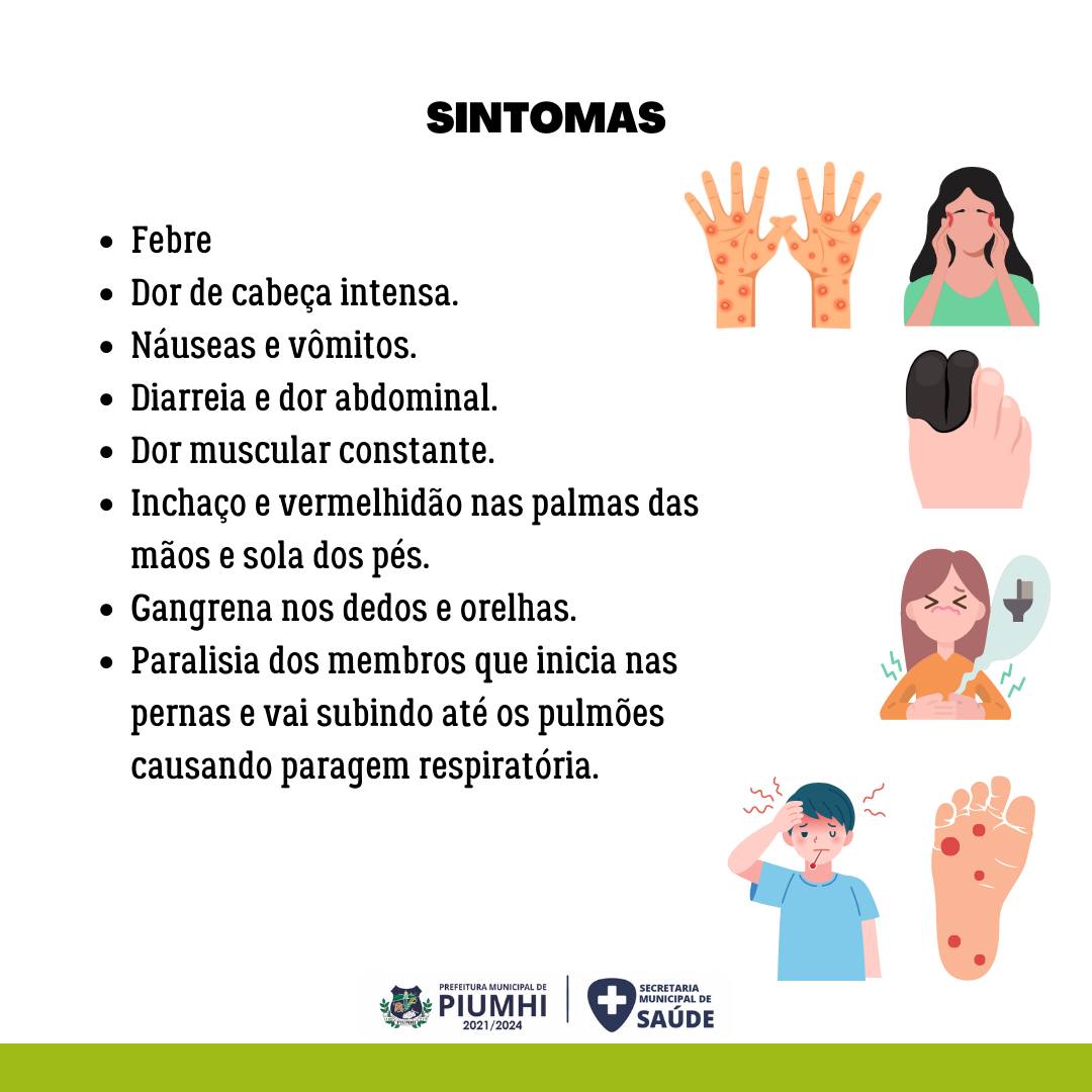 🚨 Atenção! Você sabia que a febre... - Prefeitura de Piumhi | Facebook