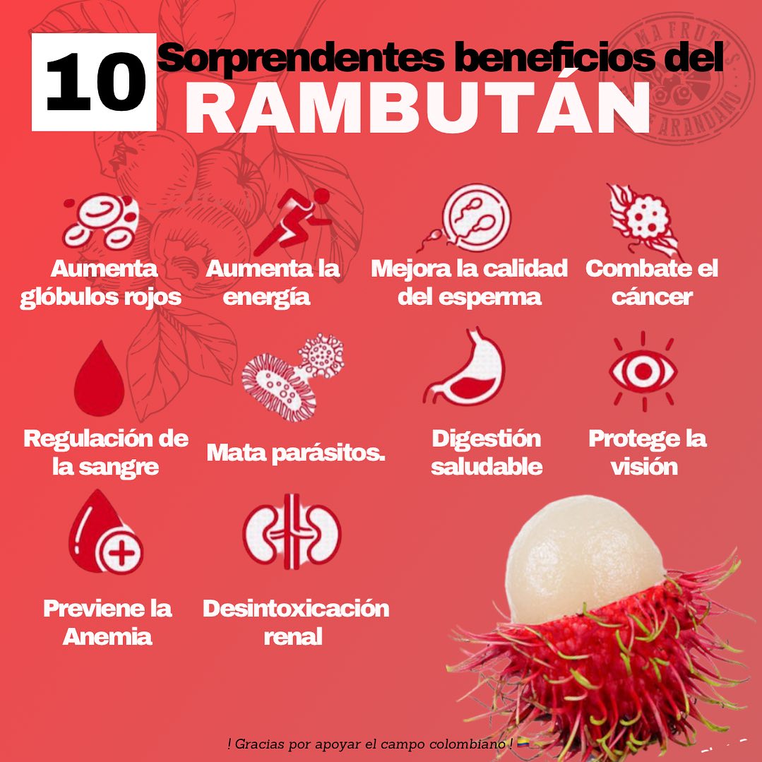 Dulce Arándano - Sabías que el #Rambutan es considerada...