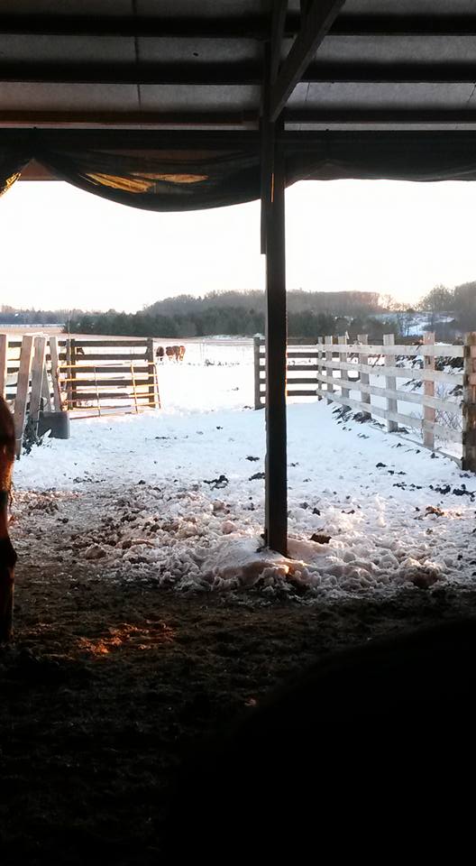 J & R Bar Ranch | Waterloo WI