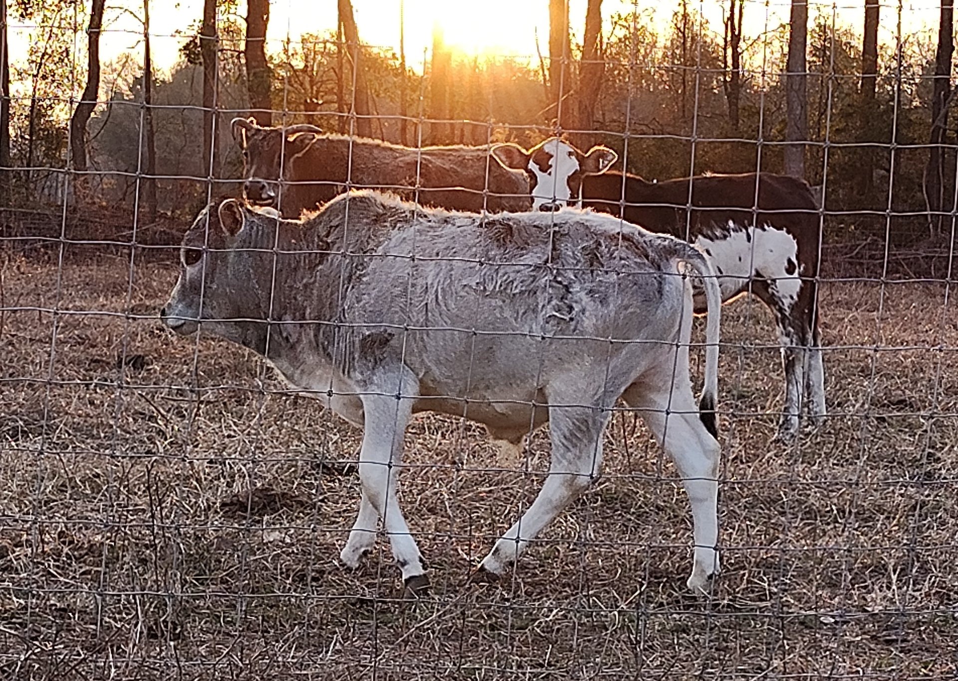 Big M Ranch | Elizabethtown NC