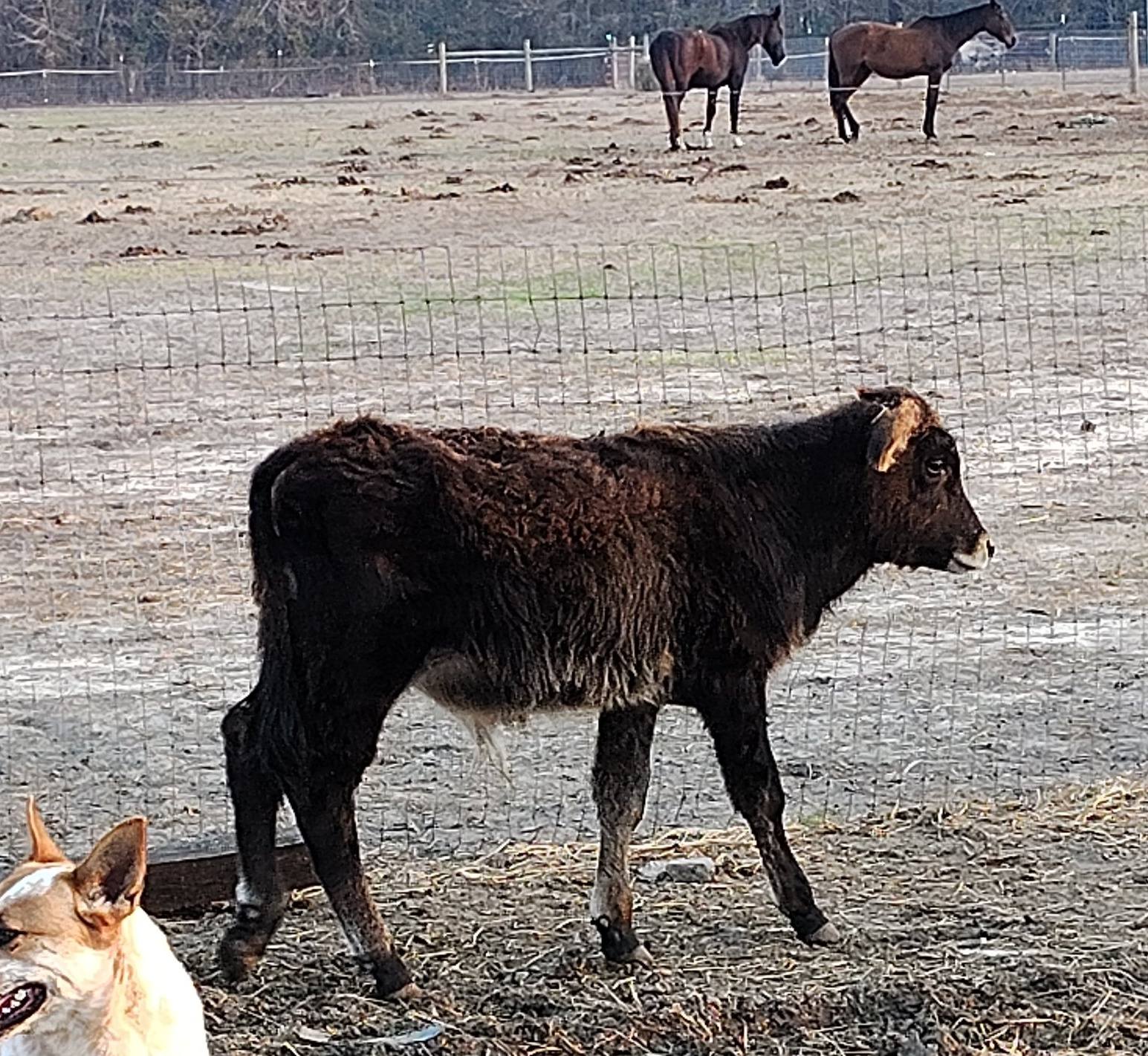 Big M Ranch | Elizabethtown NC