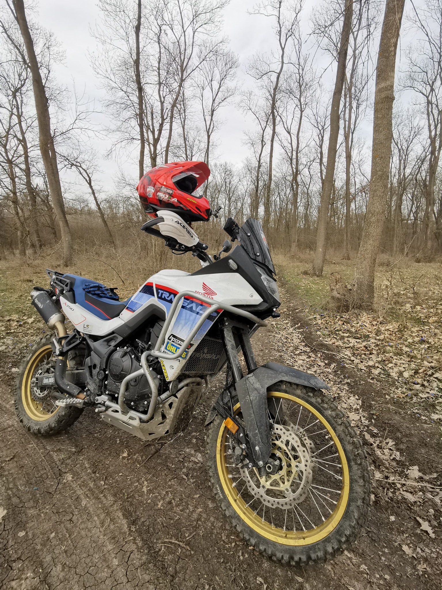 Will LSK Offroad dongle work on 2025 Honda Transalp?