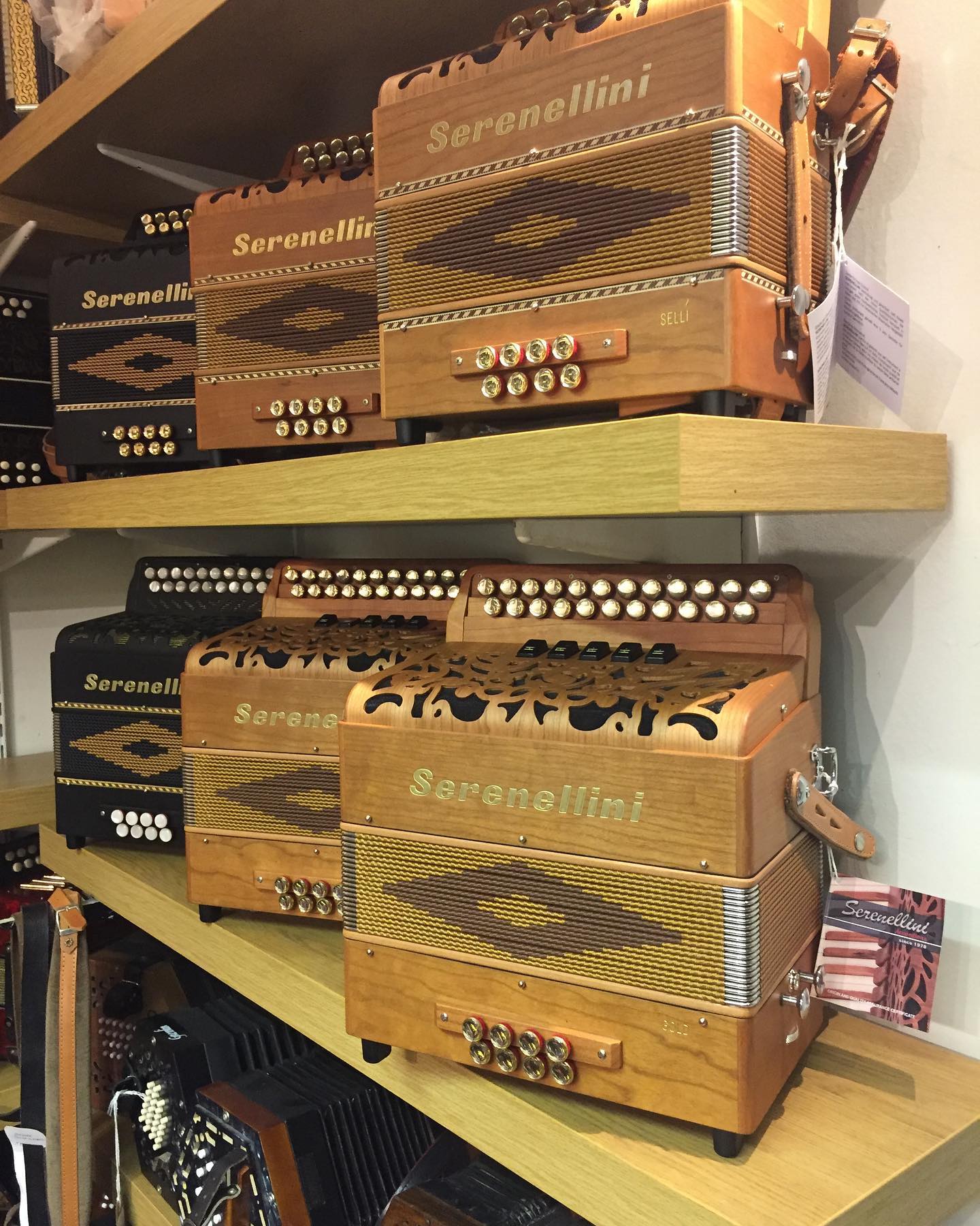 The Serenellini model Gold melodeon in... - Accordion Centre | Facebook