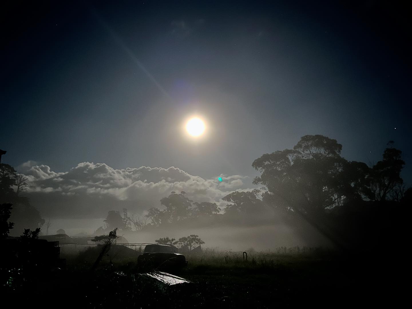 The Bloom Barn Farm | Peats Ridge NSW