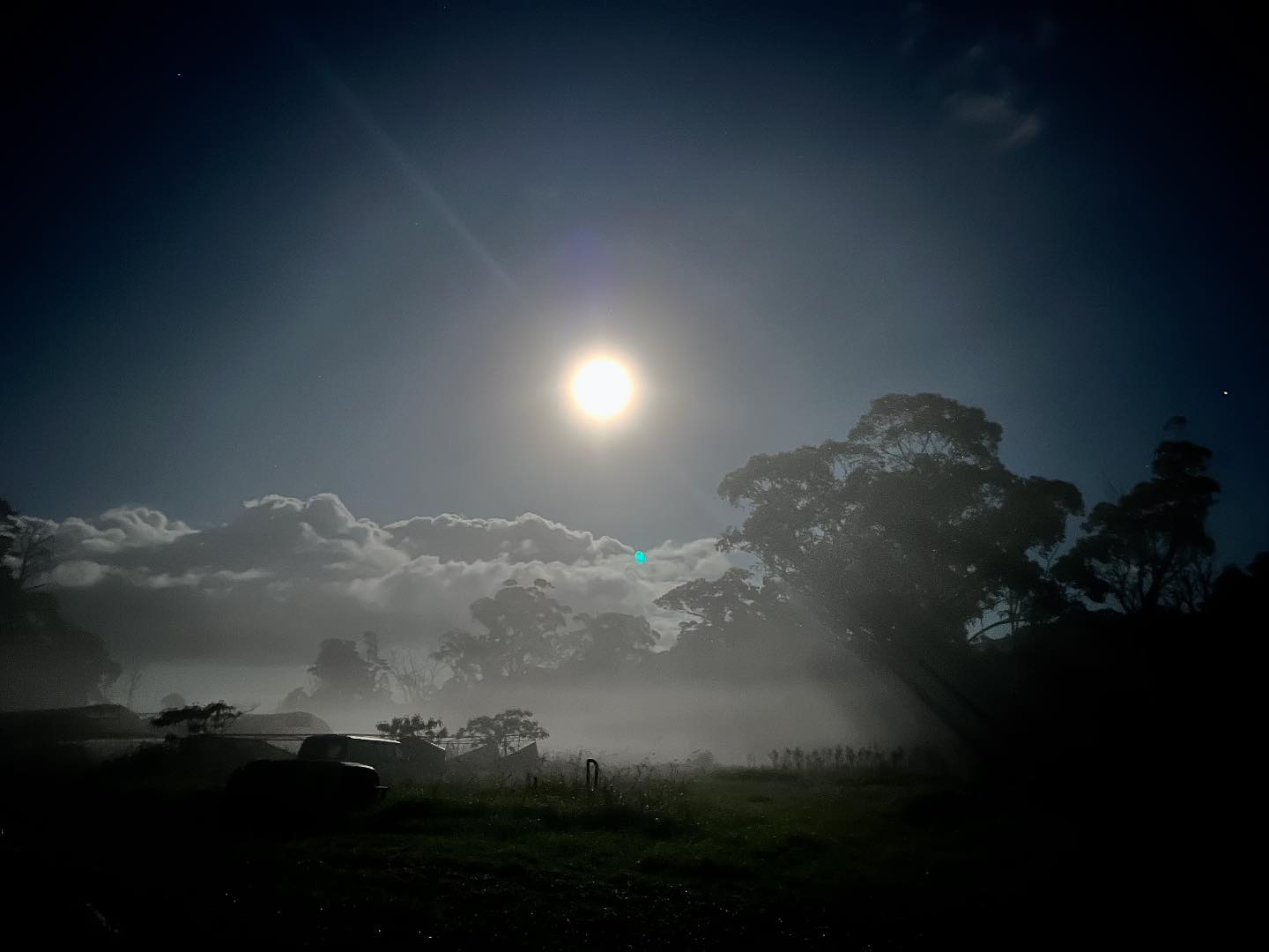 The Bloom Barn Farm | Peats Ridge NSW