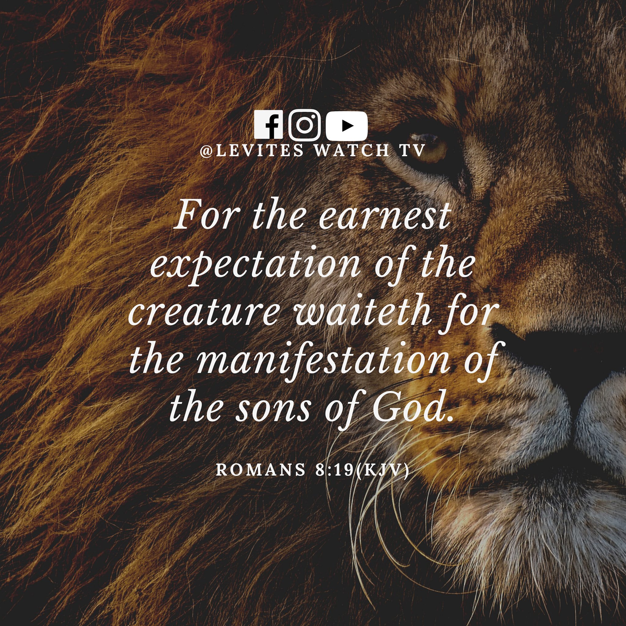 Romans 8:19 (KJV) “For the earnest... - Levites WATCH TV | Facebook