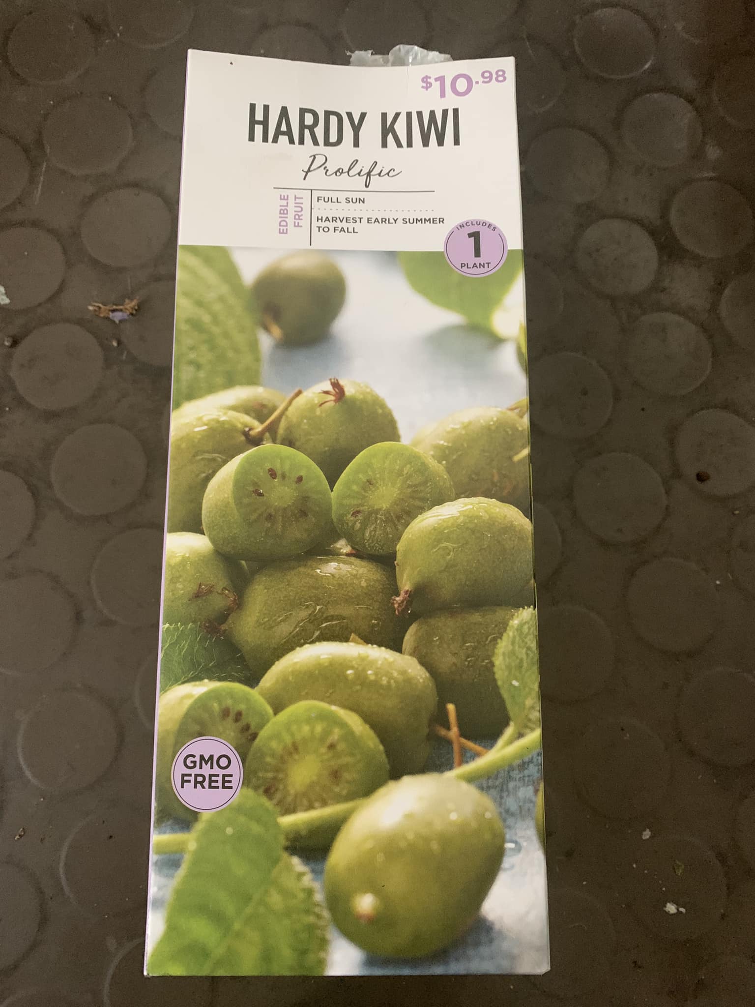 Experience with self-pollinating hardy kiwi in zone 5b?