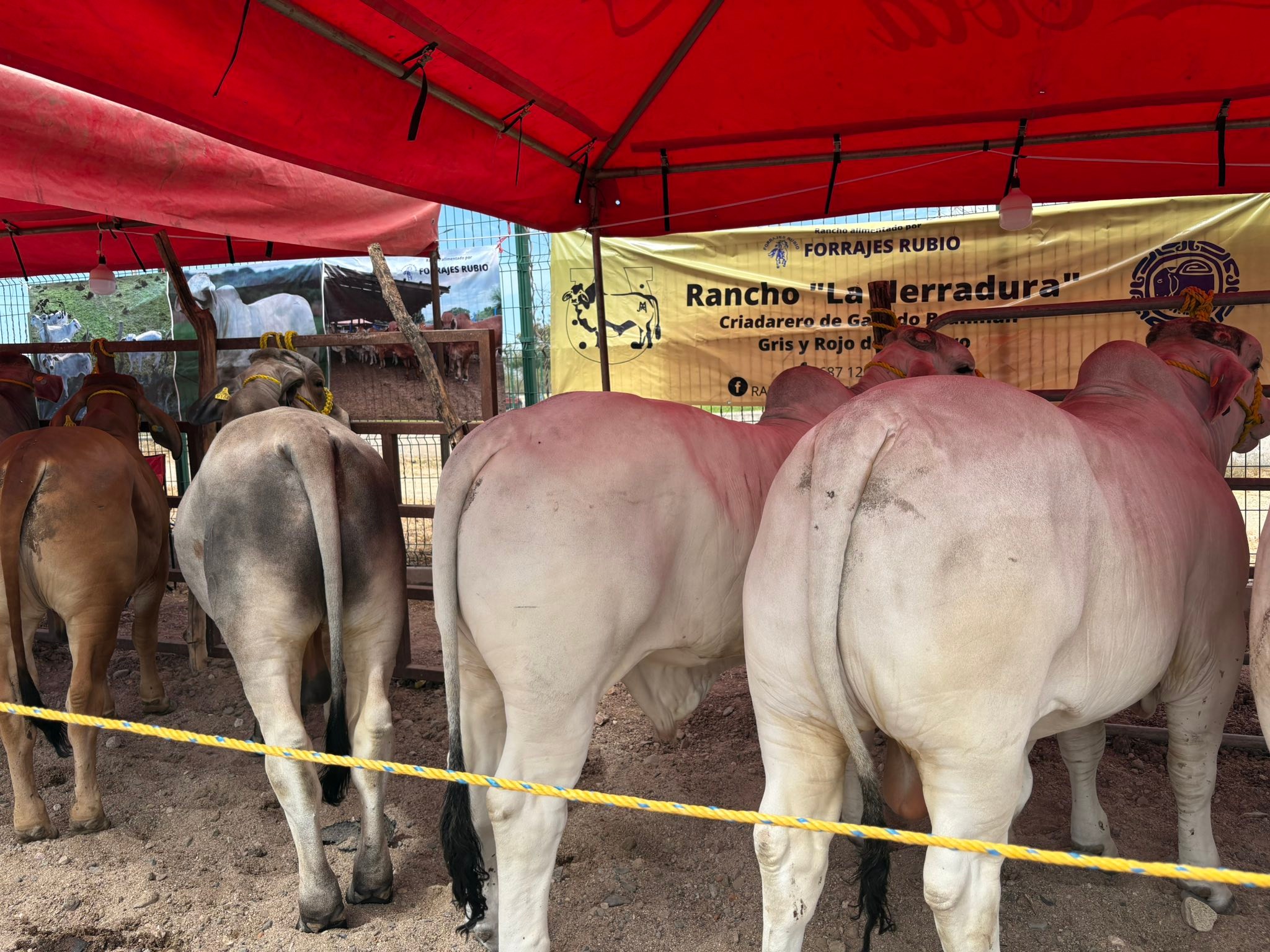 Rancho La Herradura Sinaloa | Guasave