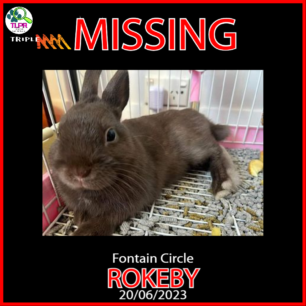 This rabbit is still... - Tasmanian Lost Pet Register - TLPR