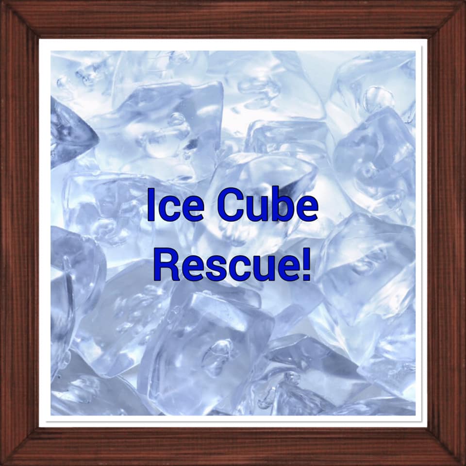 ⭐️ New Activity⭐️ Ice Cube Rescue!... - Grow Sensory Group | Facebook