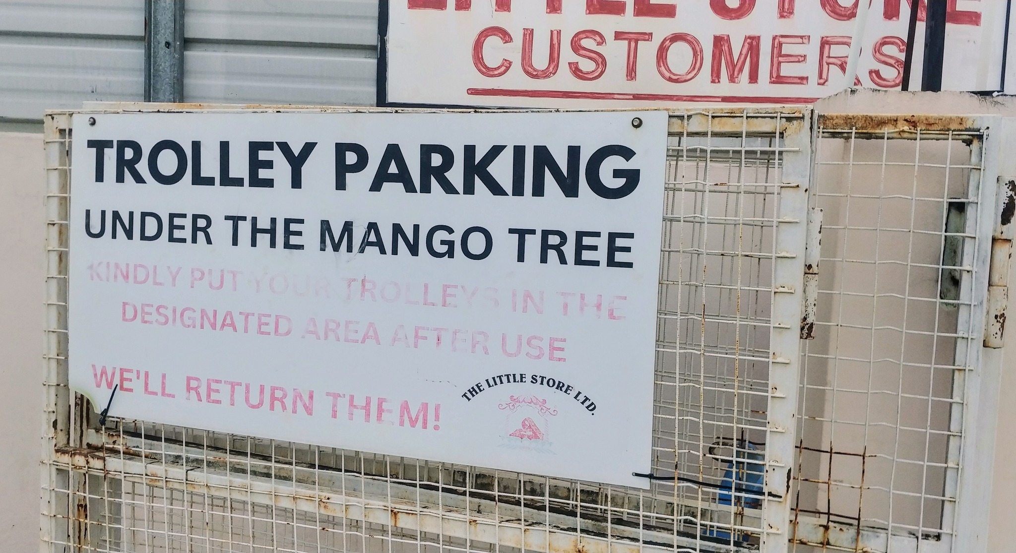 Mango-mouth - See how important a mango tree is? Is not only Marlon who ...