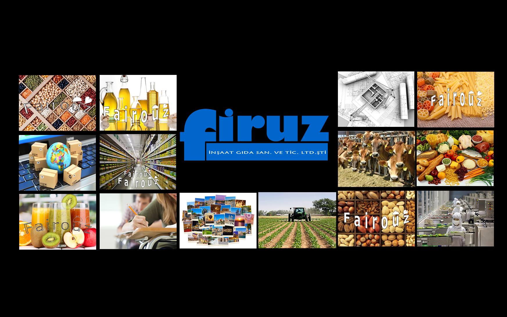 Firuz Grup