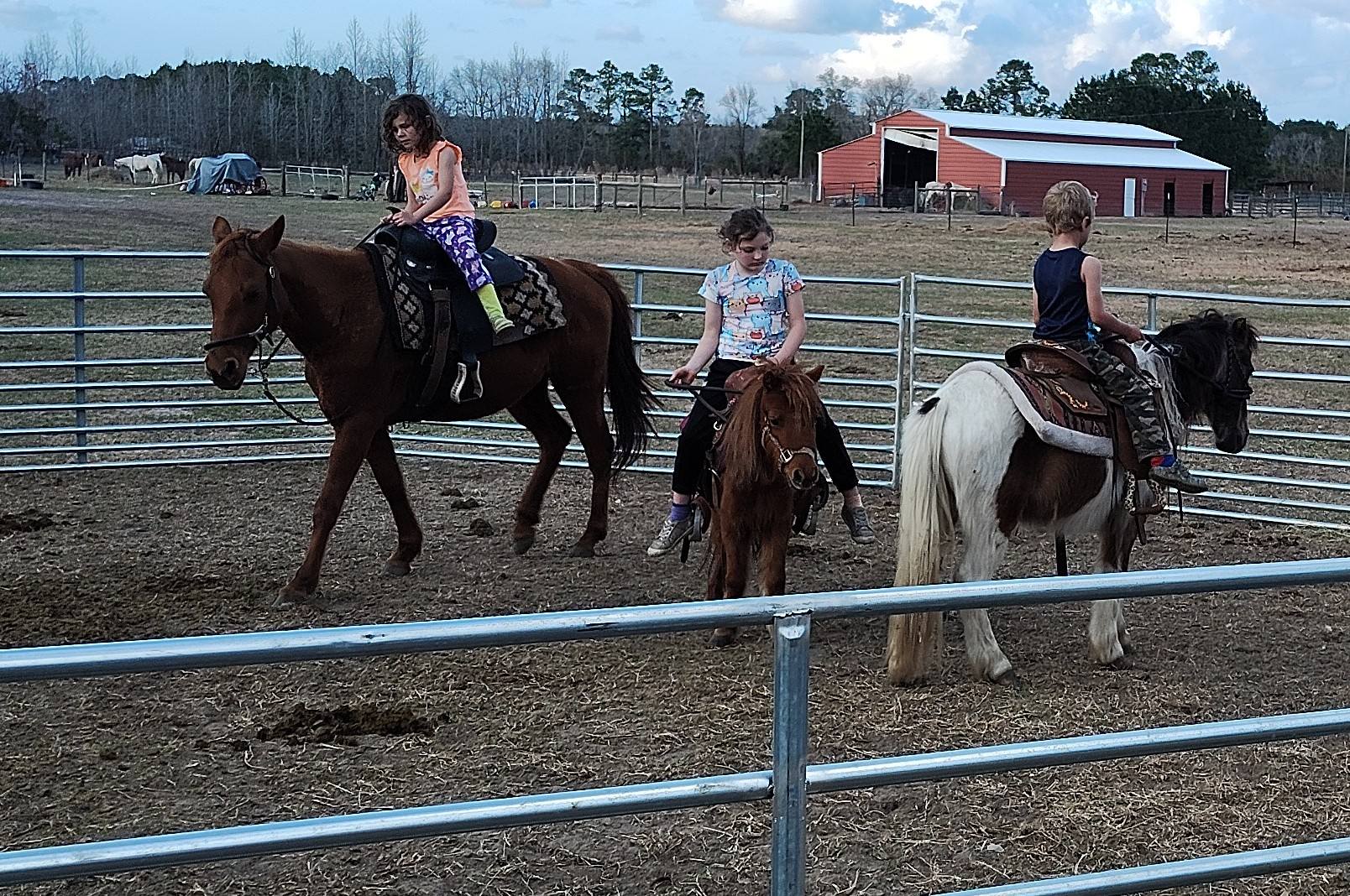 Big M Ranch | Elizabethtown NC