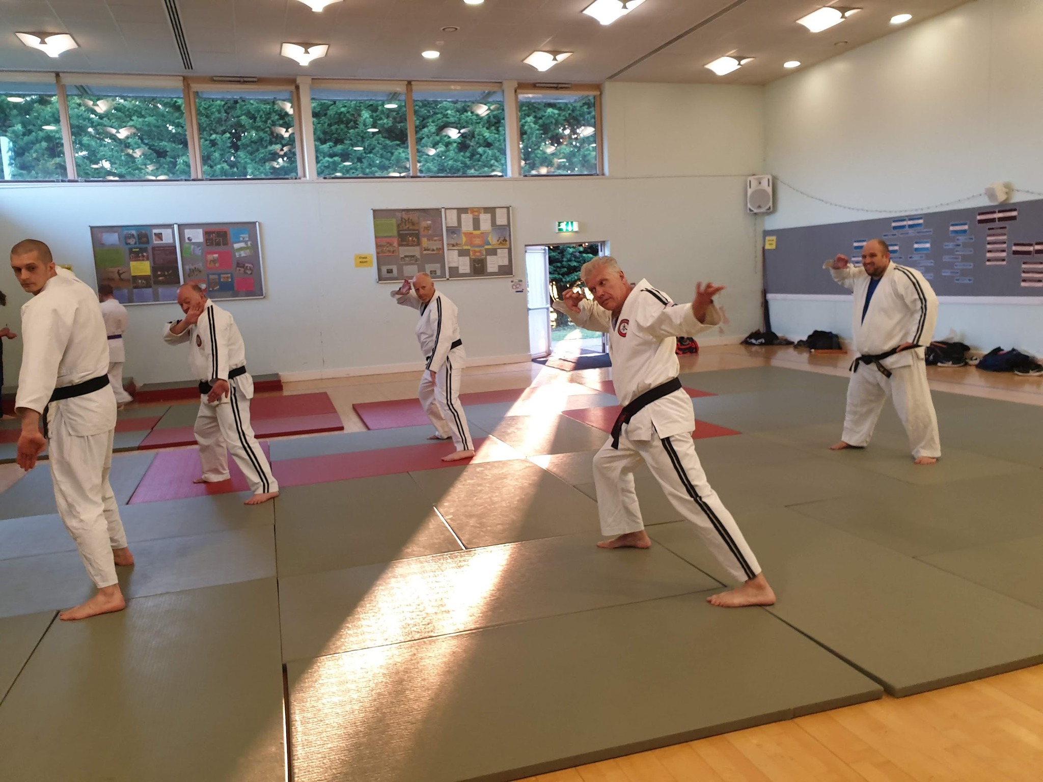 Ippon Ryu Ju Jitsu
