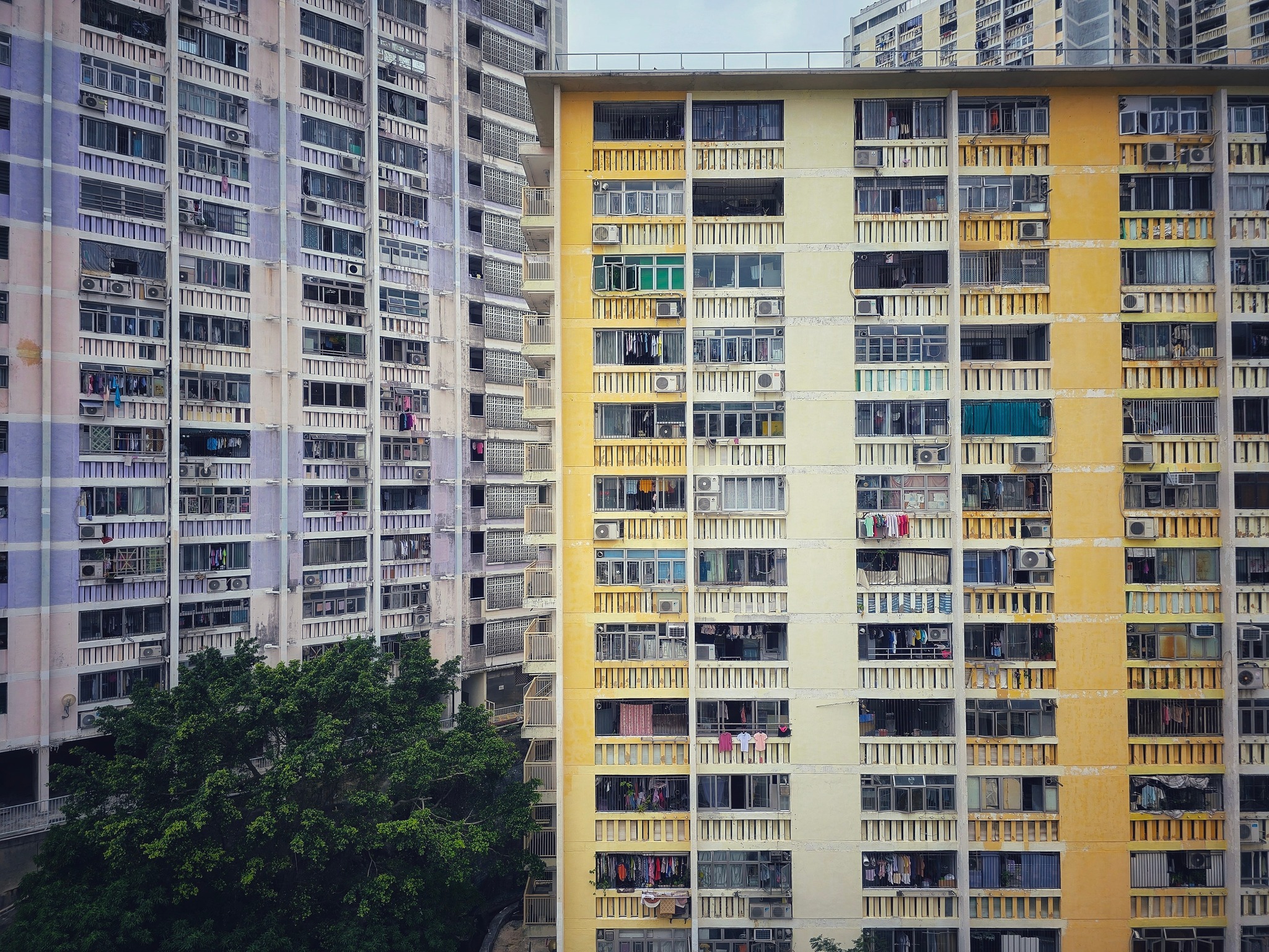華富一邨民 - 左鄰右里 #華富邨 #公屋日常 #公共屋邨 #wahfuestate #平民豪宅 #香港屋邨 #香港公屋 #hongkong ...