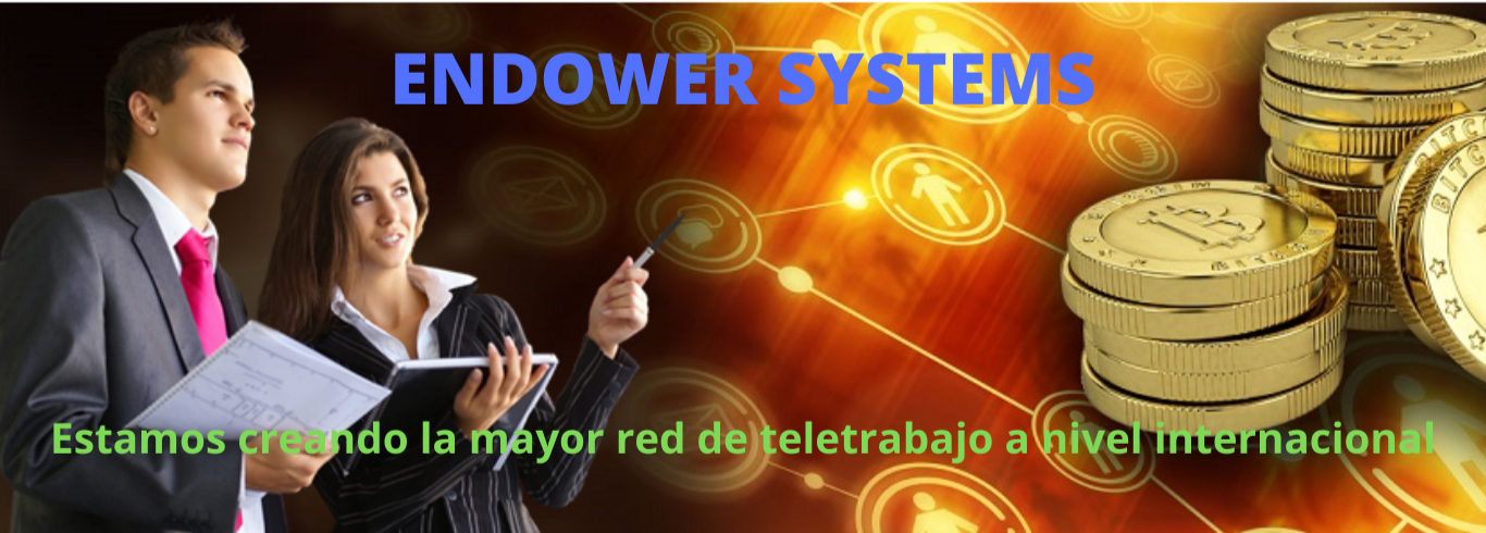 ENDOWER SYSTEMS