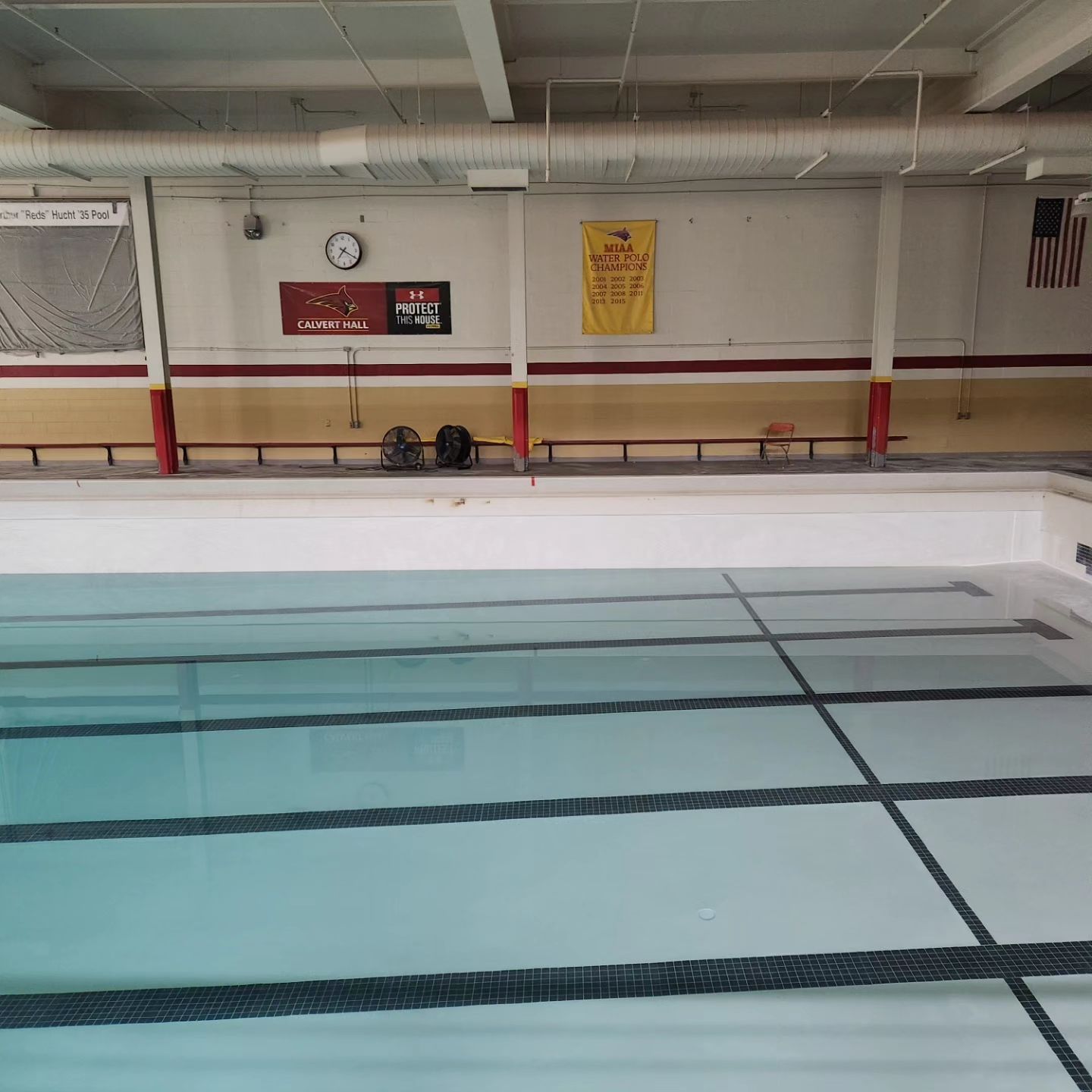 Just a preview of what's to... - Cardinal and Gold Aquatics