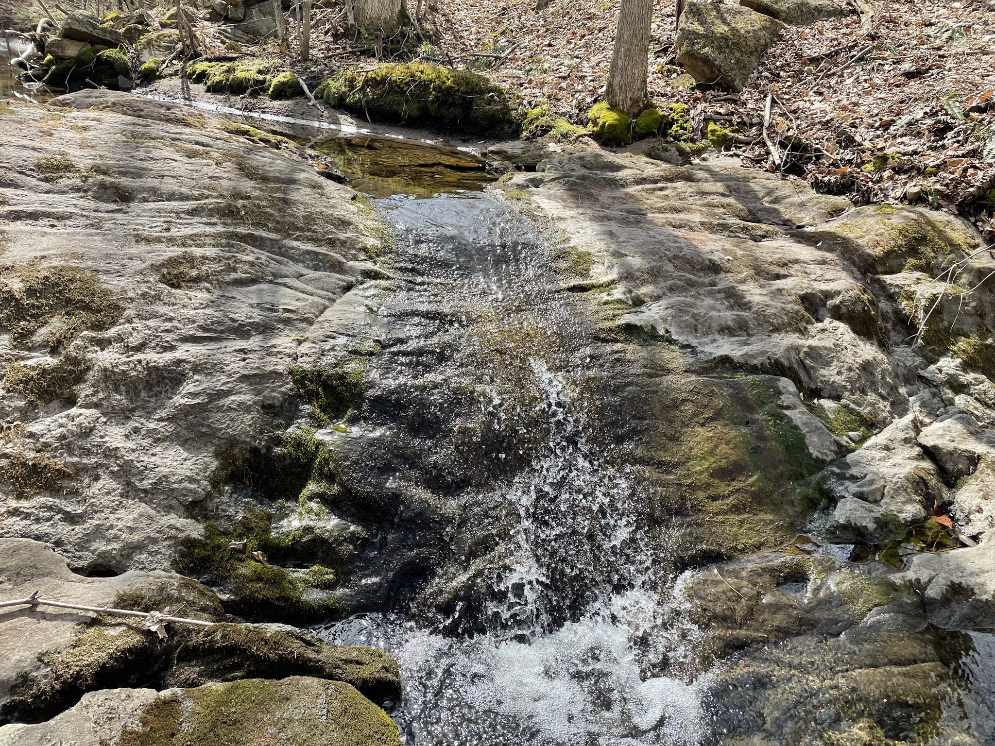 Lazy River Playground - Join Trish Varney and Sarah Pickard for the ...