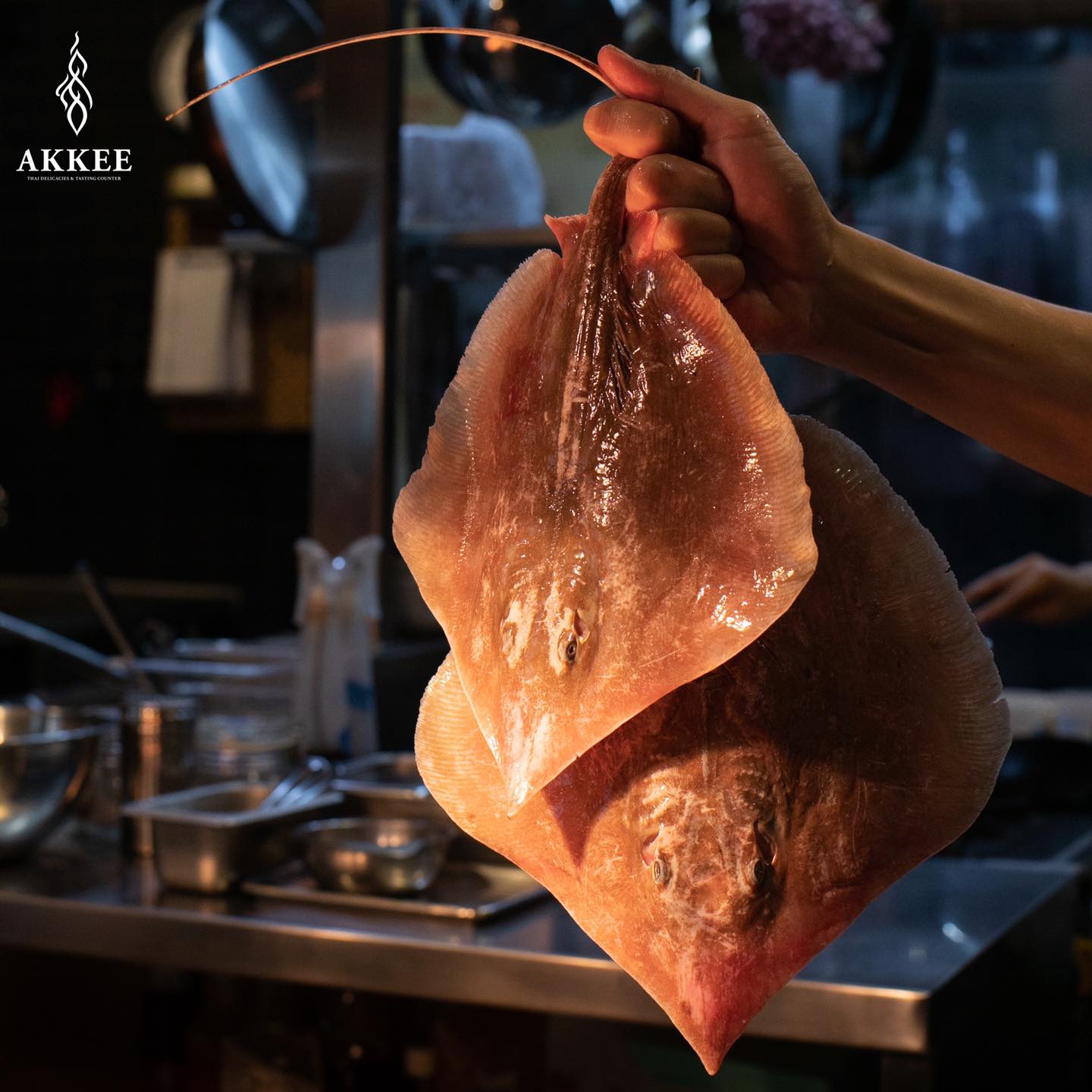 ปลากระบางหรือปลาจ... - AKKEE Thai Delicacies & Tasting Counter | Facebook