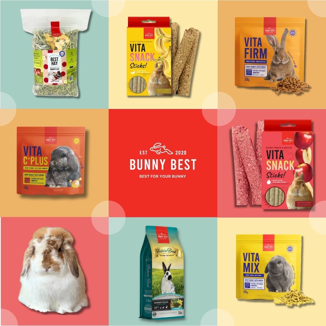 BunnyBest.Official - แบรนด์ BUNNYBEST มีสินค้าอะไรบ้าง? อาหารเม็ด ...
