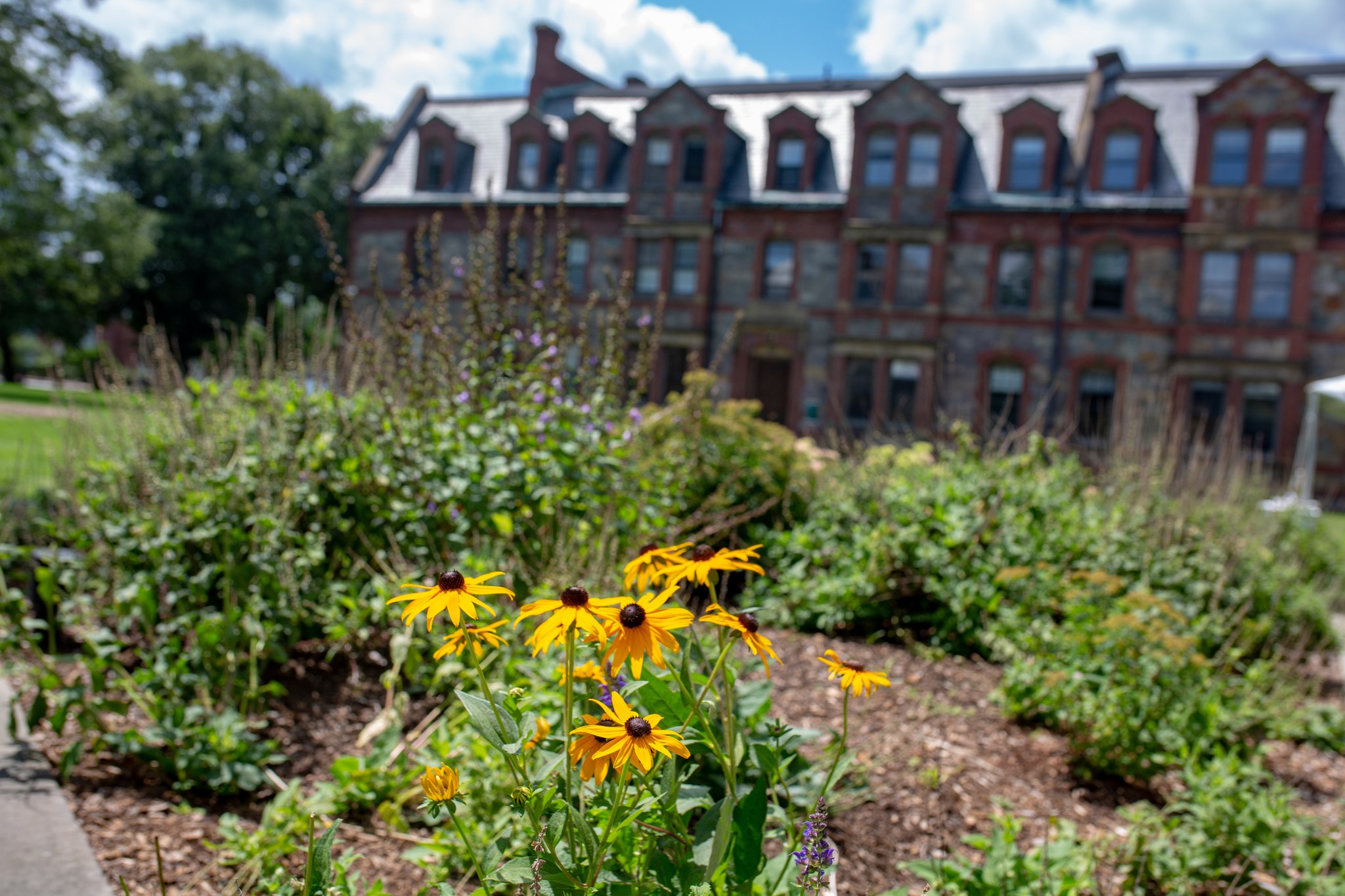 Today we honor and celebrate... - Lesley University