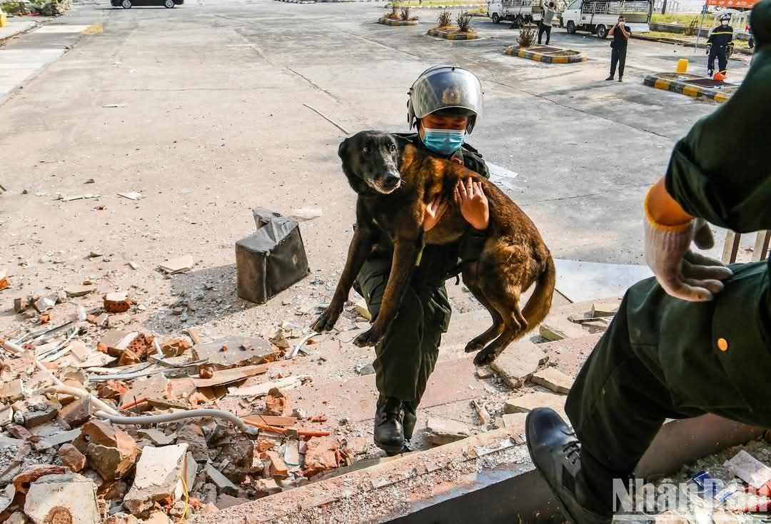 Team - 🐾 Đây là Bin - chú chó nghiệp vụ có 6 năm kinh nghiệm được đi ...