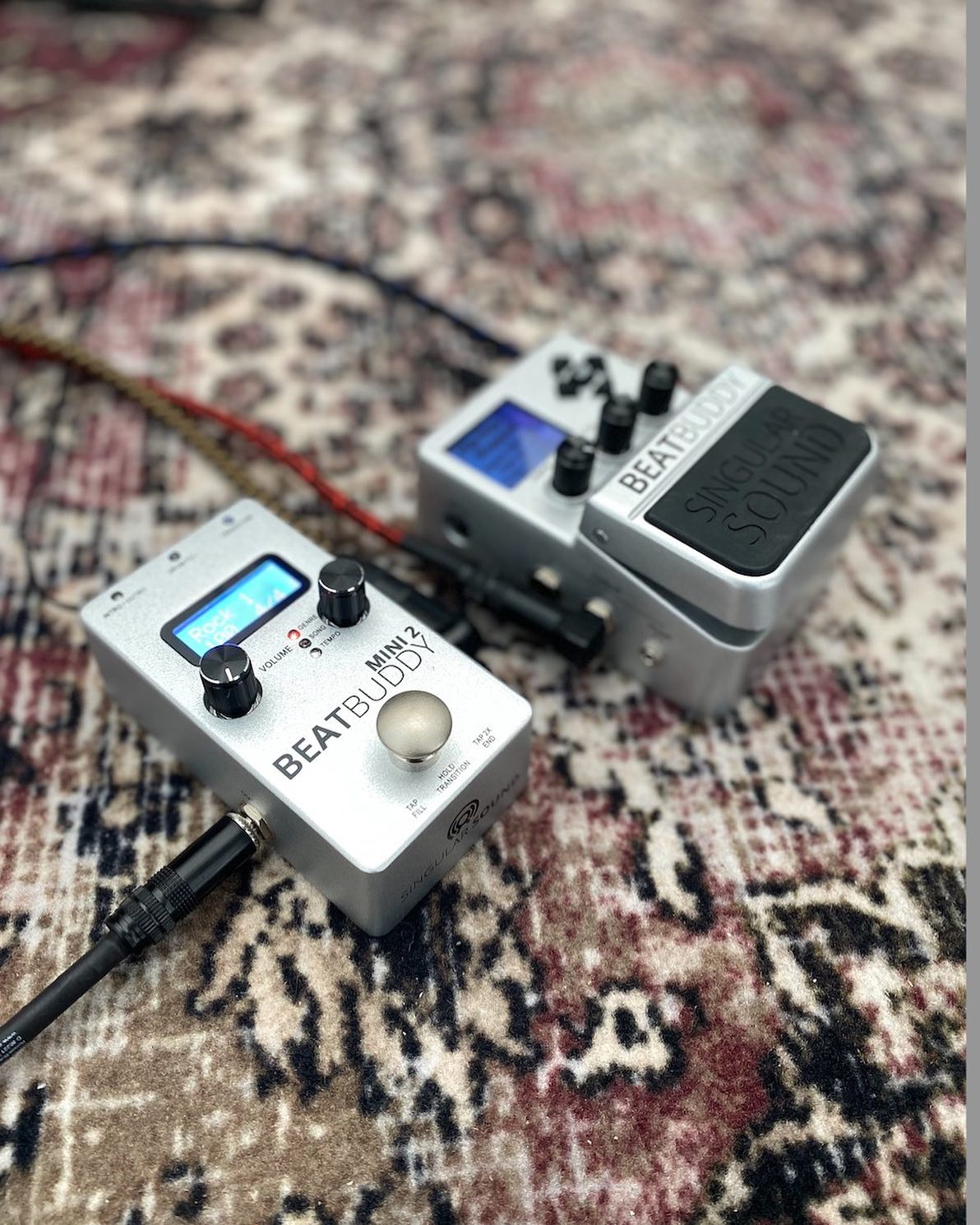 BeatBuddy Mini 2 - Boîte à Rythmes Compacte Pour Guitaristes