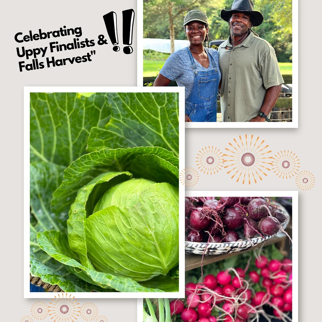 Our farm is bursting with the... - Deep Roots CPS Farm