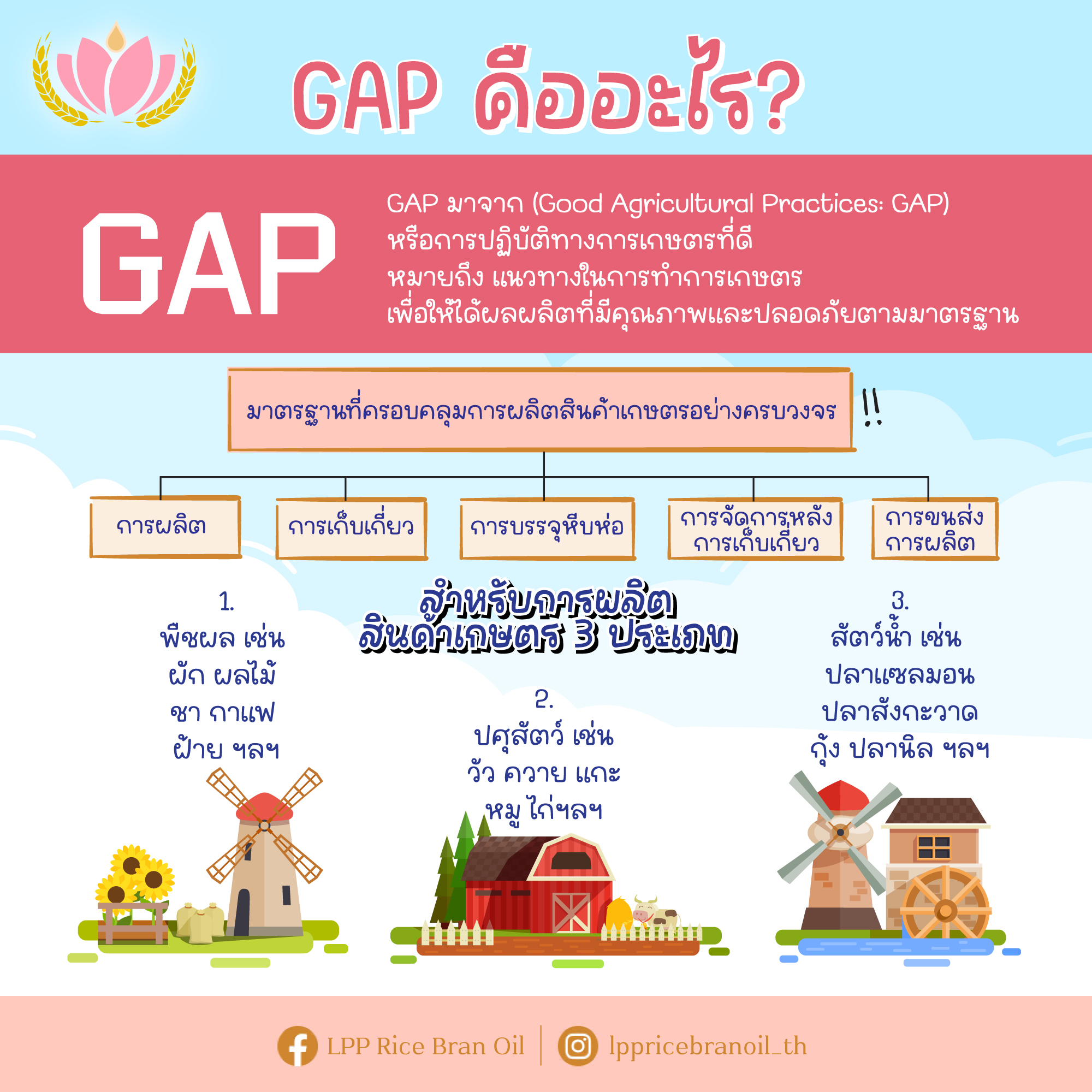 GAP มาจาก (Good Agricultural... - LPP Rice Bran Oil | Facebook
