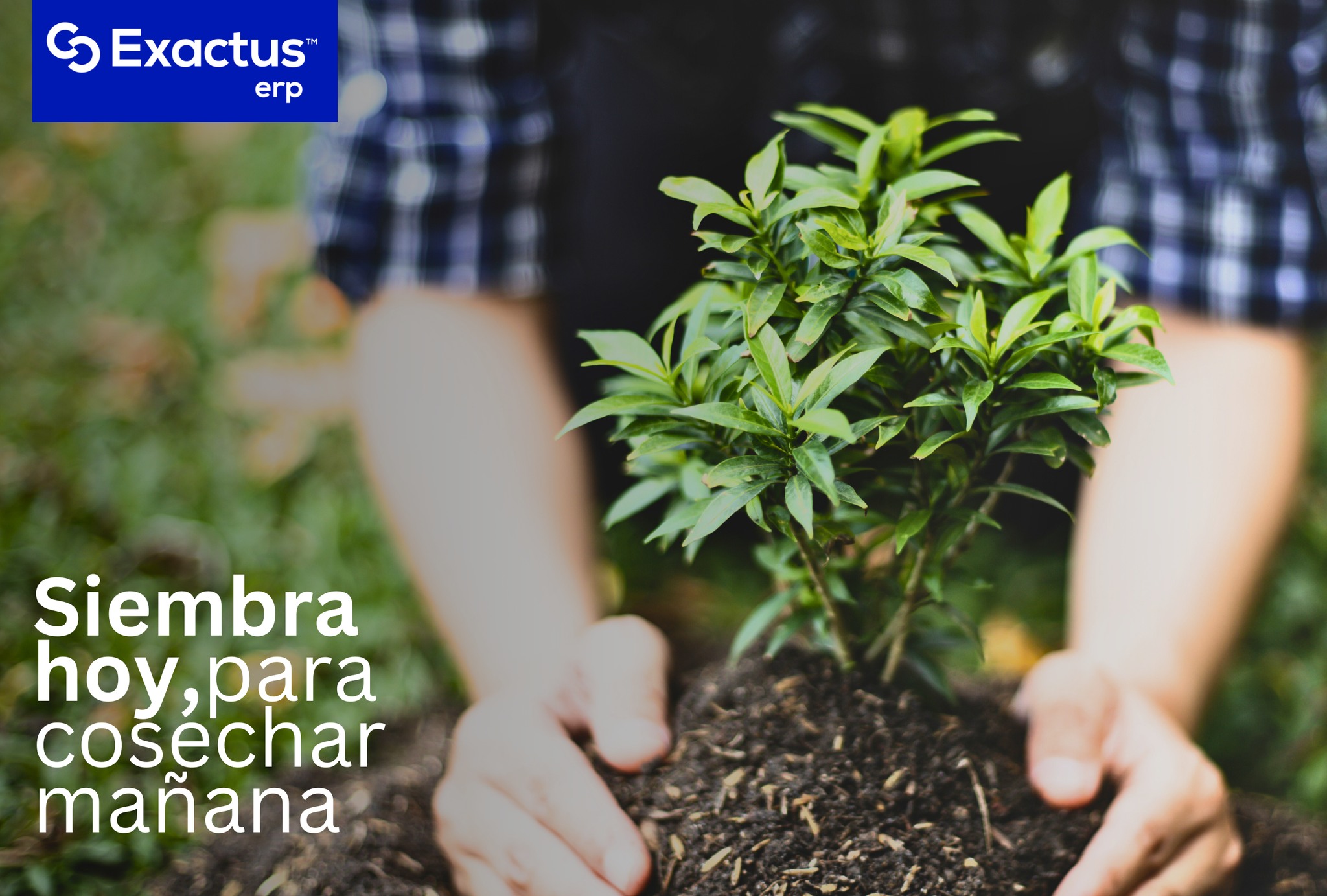 Exactus - ¿Cuál es el mejor momento para invertir en un... | Facebook