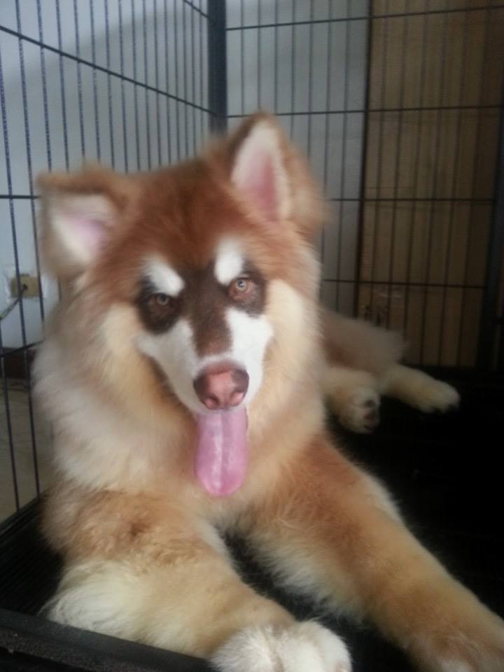 AK - Ak 7month | Facebook