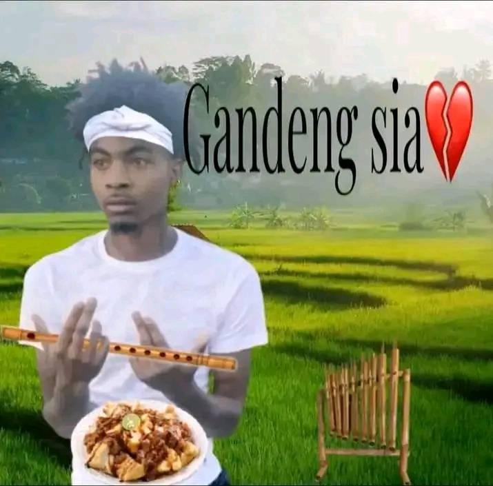 Risaa