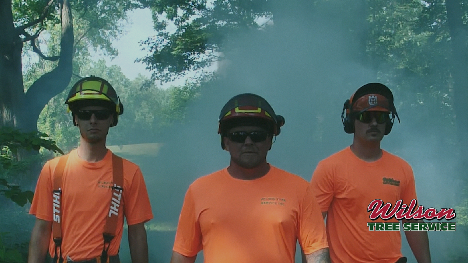 Wilson Tree Service | Windsor ON