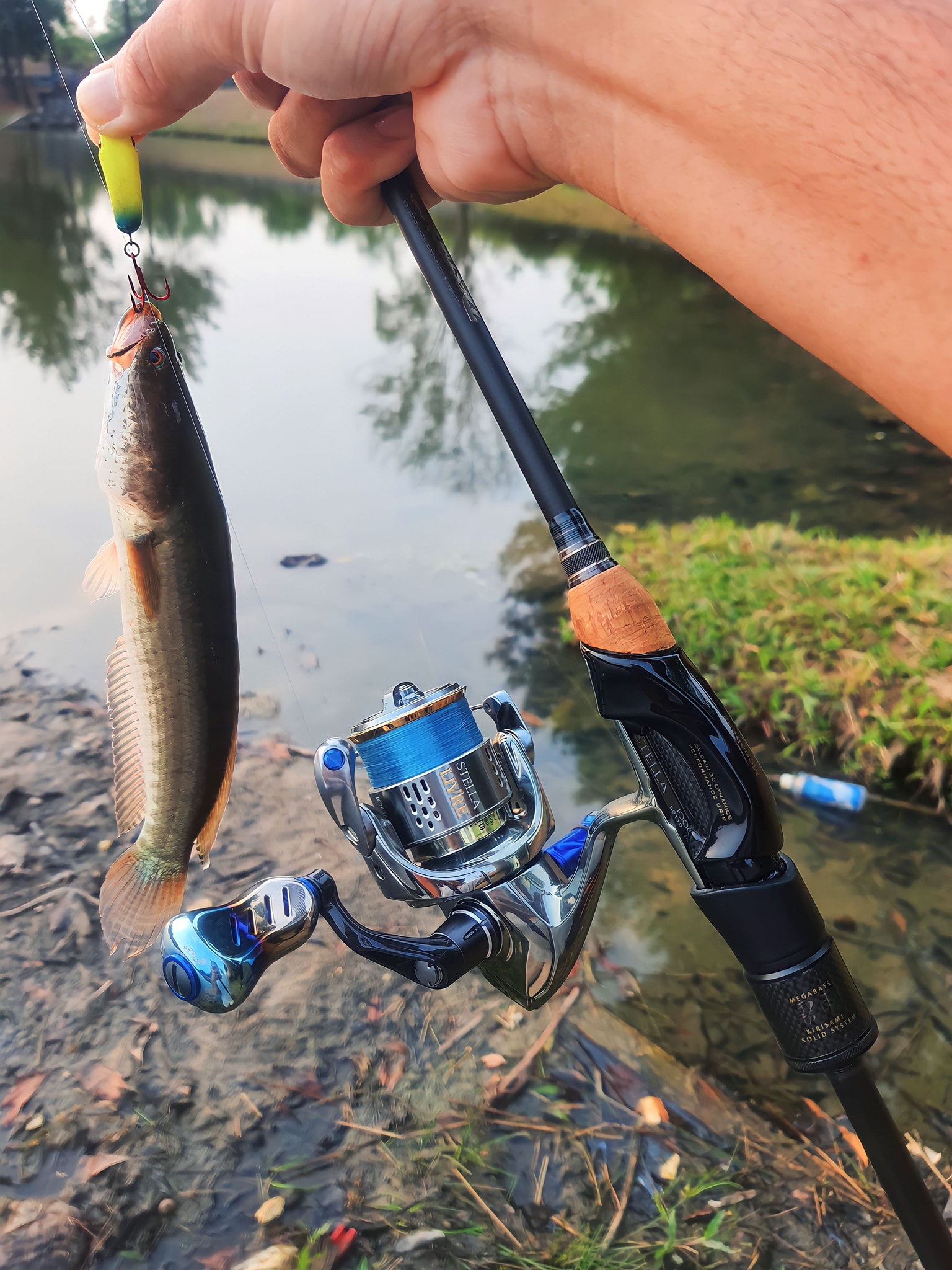 harga shimano stella fj 1000 THUNNUS CI4, Spinning, Blue : Fishing Reels : Sports & Outdoors Fishing with the Stella is an unforgettable experience PWC Reel Barabai  |